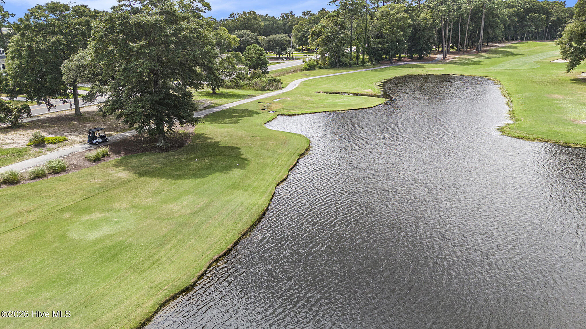 100559918 | Photo 32