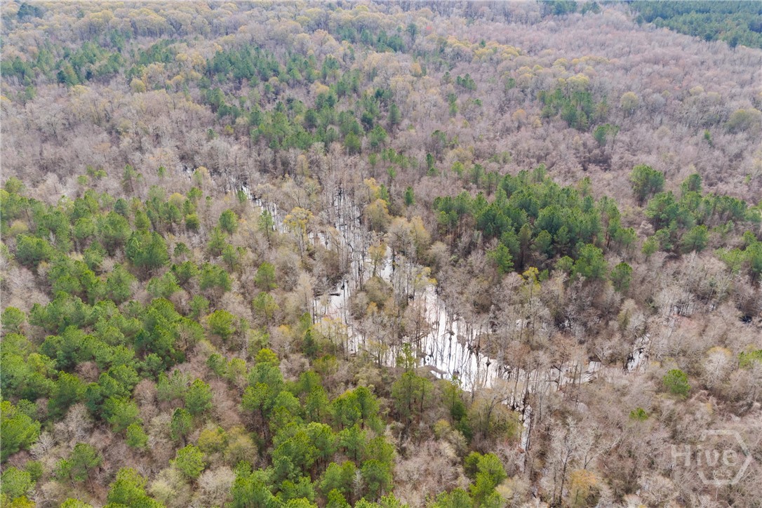 1000 Old River Road S, Brooklet, GA, 30415