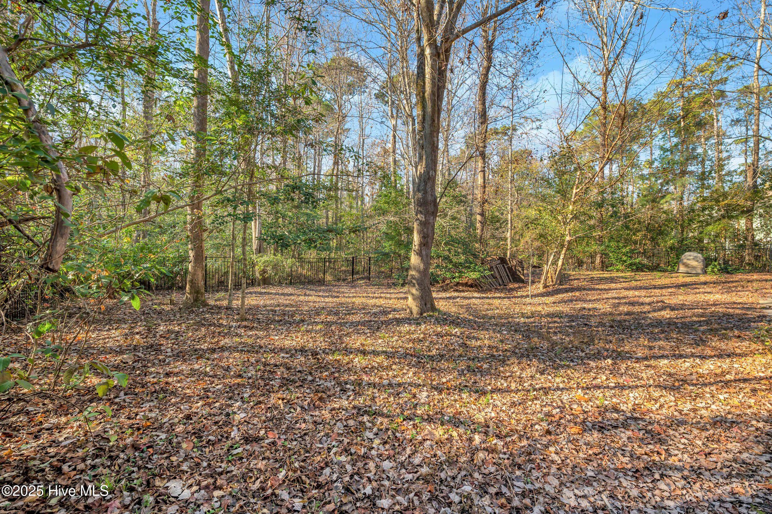 100548382 | Photo 34