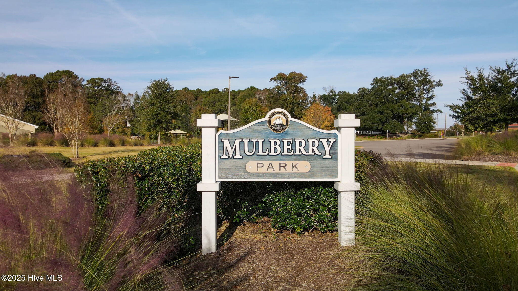 100529824 | Photo 32