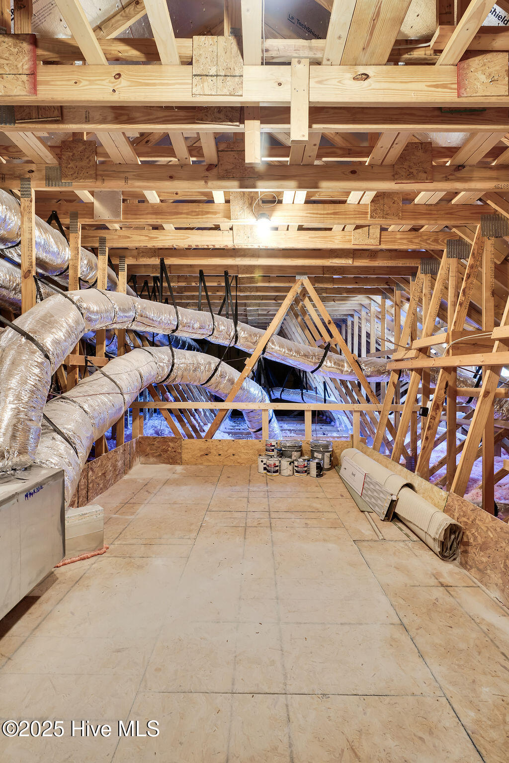 100529674 | Photo 110