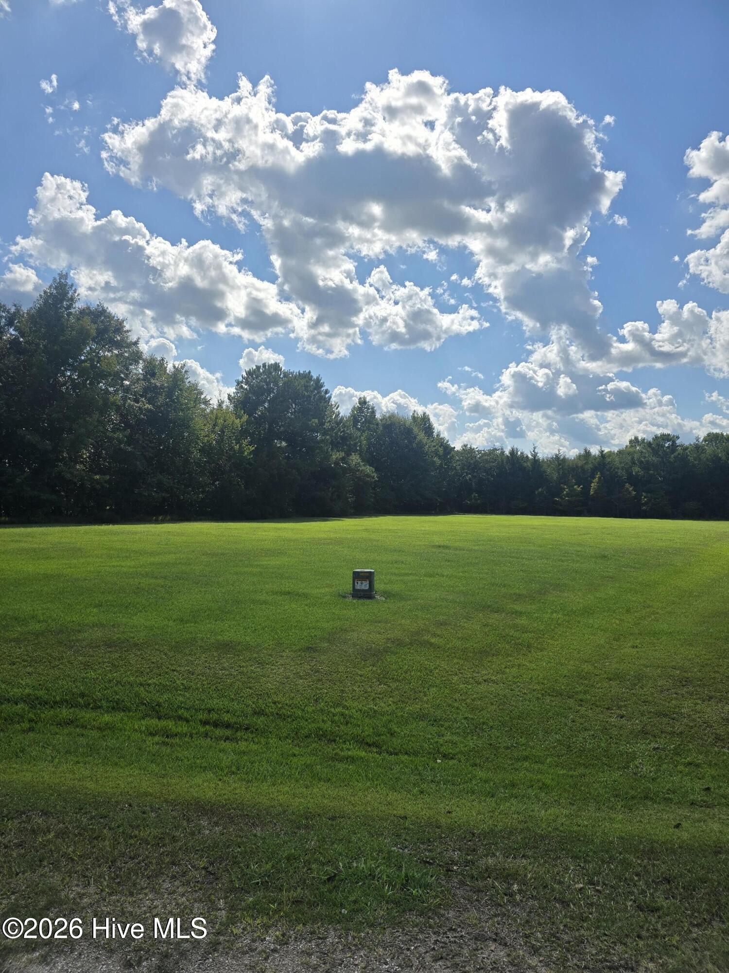 Photo 3 of Land for sale at 0 Lee St, Bladenboro, NC 28320 | MLS# 100600620 | Listing updated on 2026-09-02