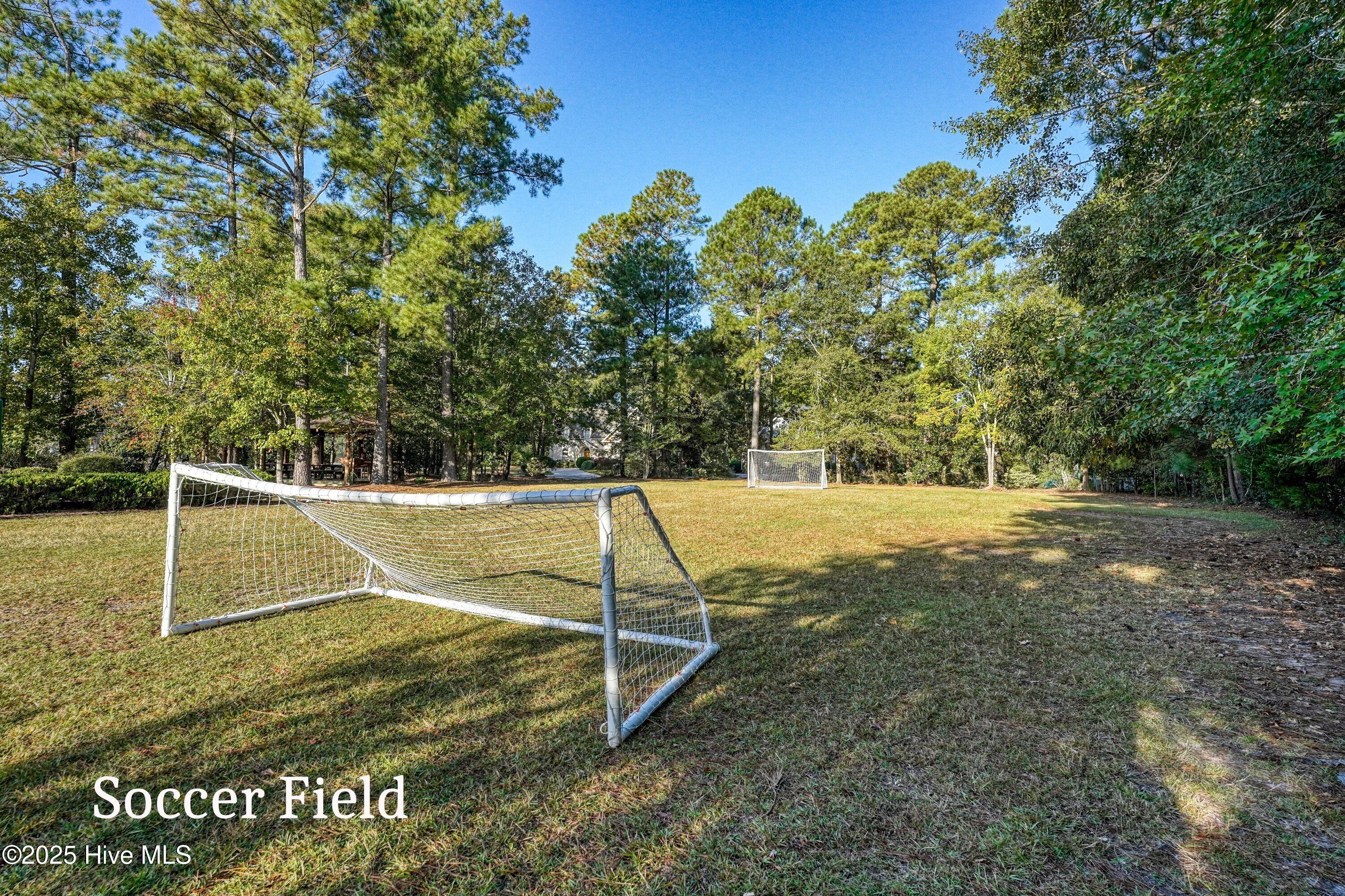 100515294 | Photo 83