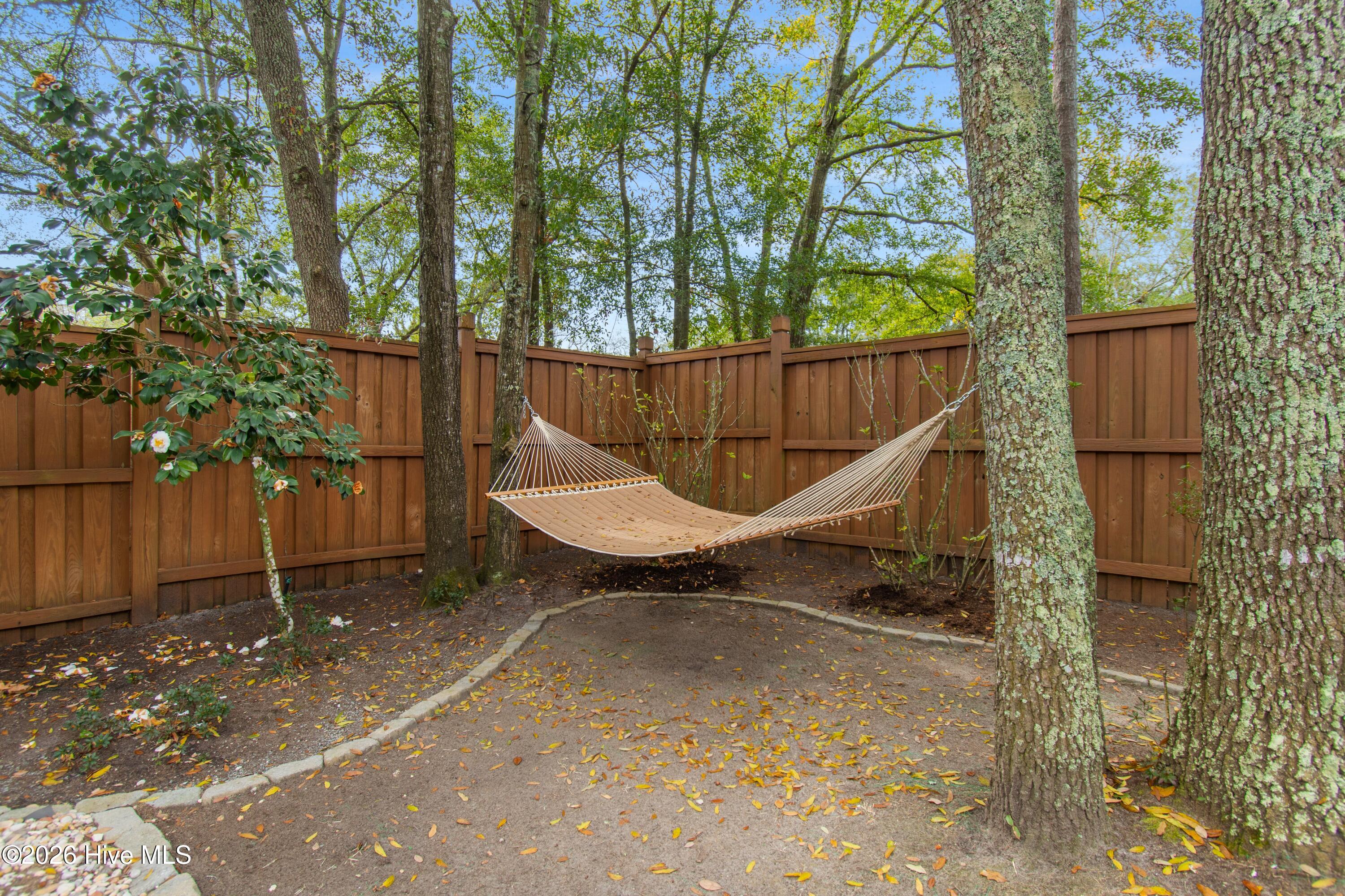 100558002 | Photo 32