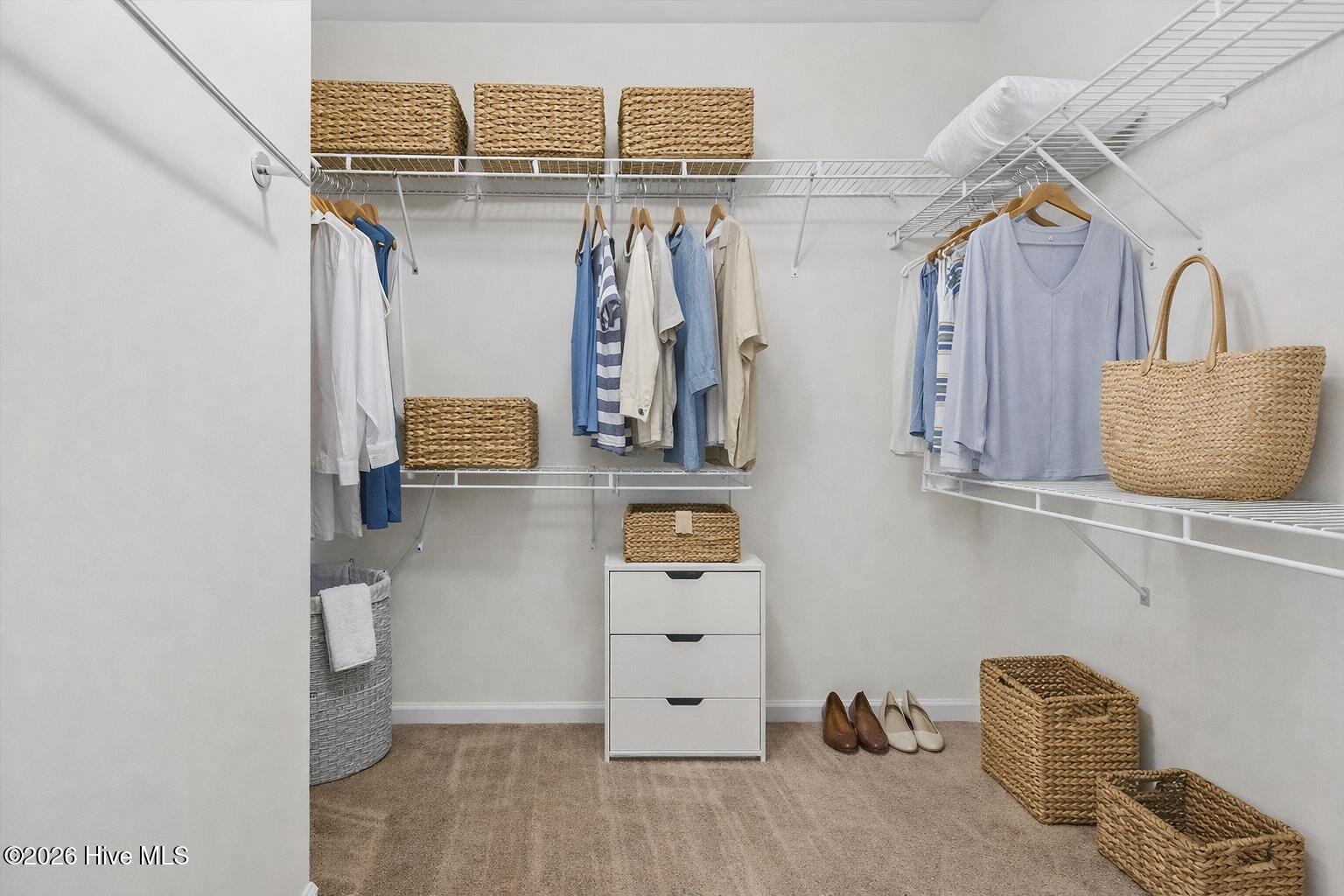 100540215 | Photo 26