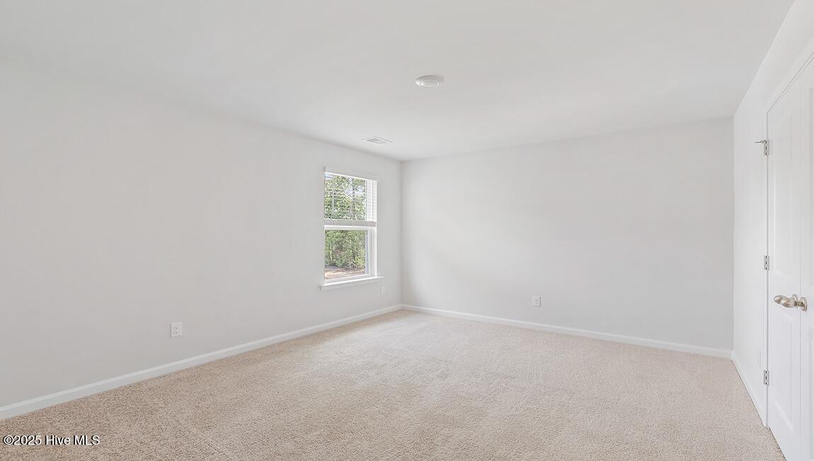 1054 Pampas Grass Drive Lot 335, Castle Hayne, NC 28429 – photo 17: Similar Home