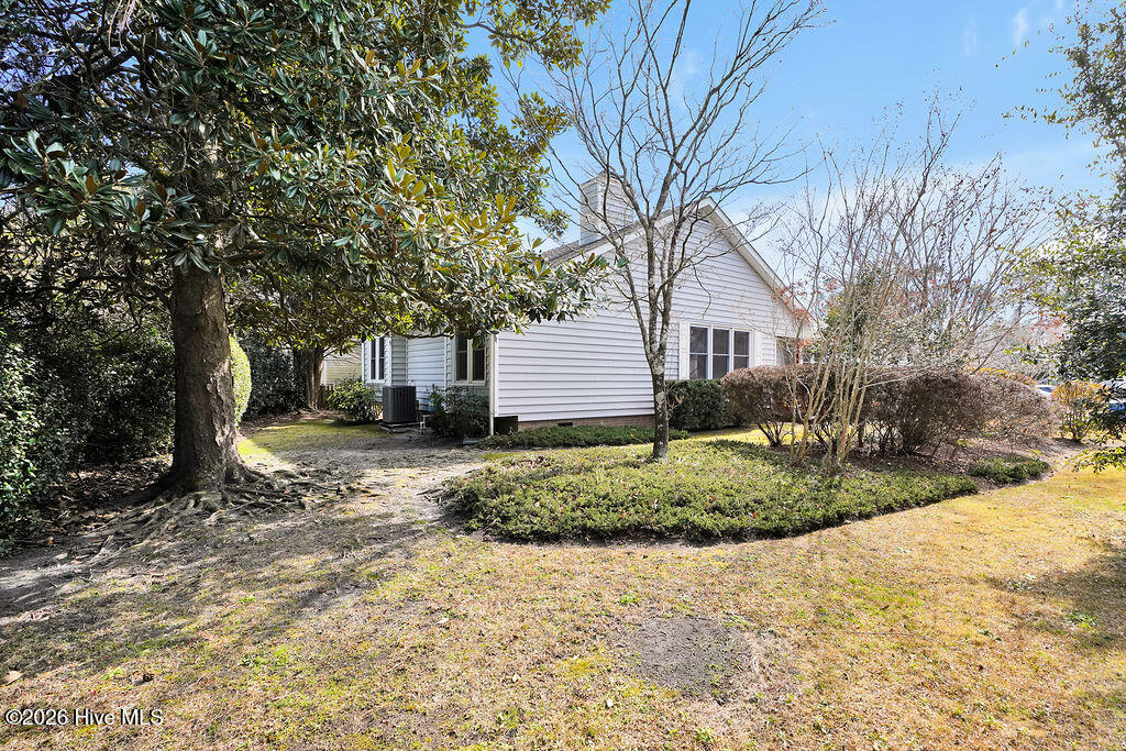 100555212 | Photo 16