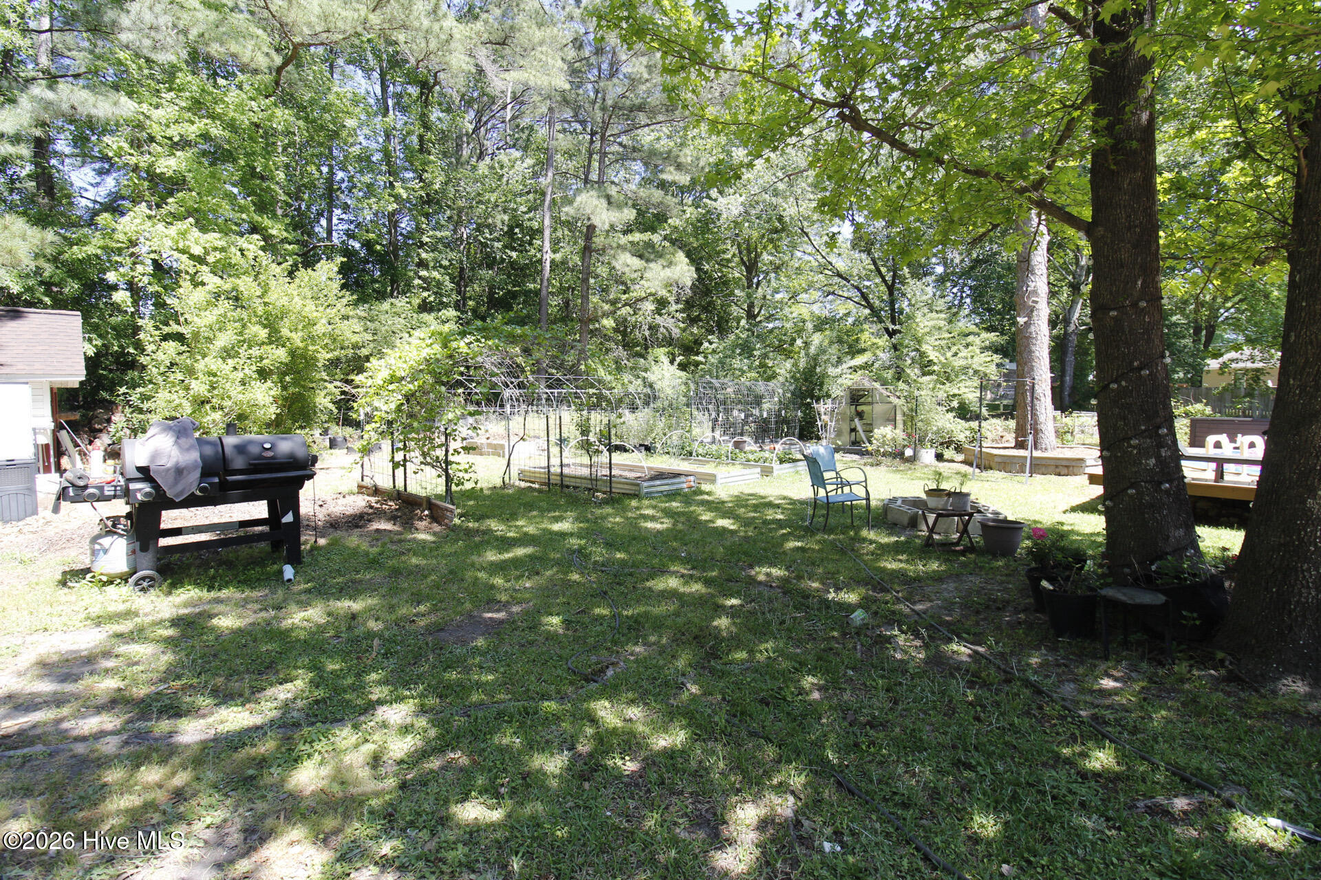 100569705 | Photo 25