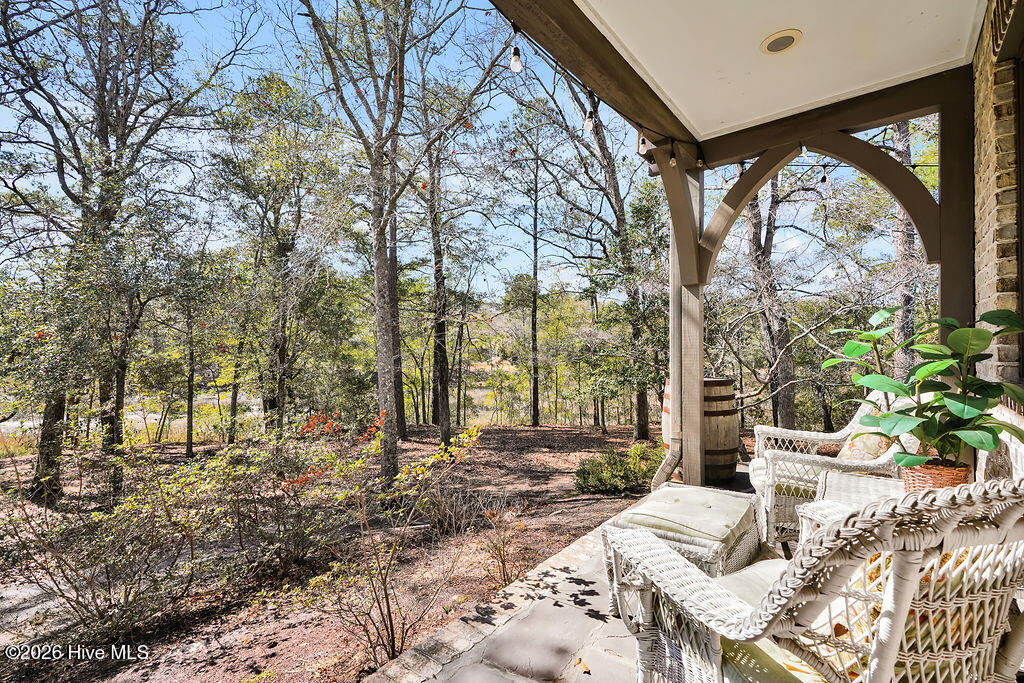 100564190 | Photo 34