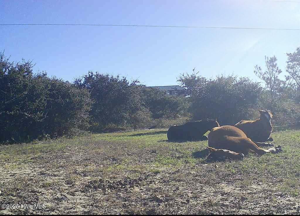 Homes for sale in Corolla, NC | 2126 Sandpiper Rd, Corolla, NC 27927 | MLS# 100539004