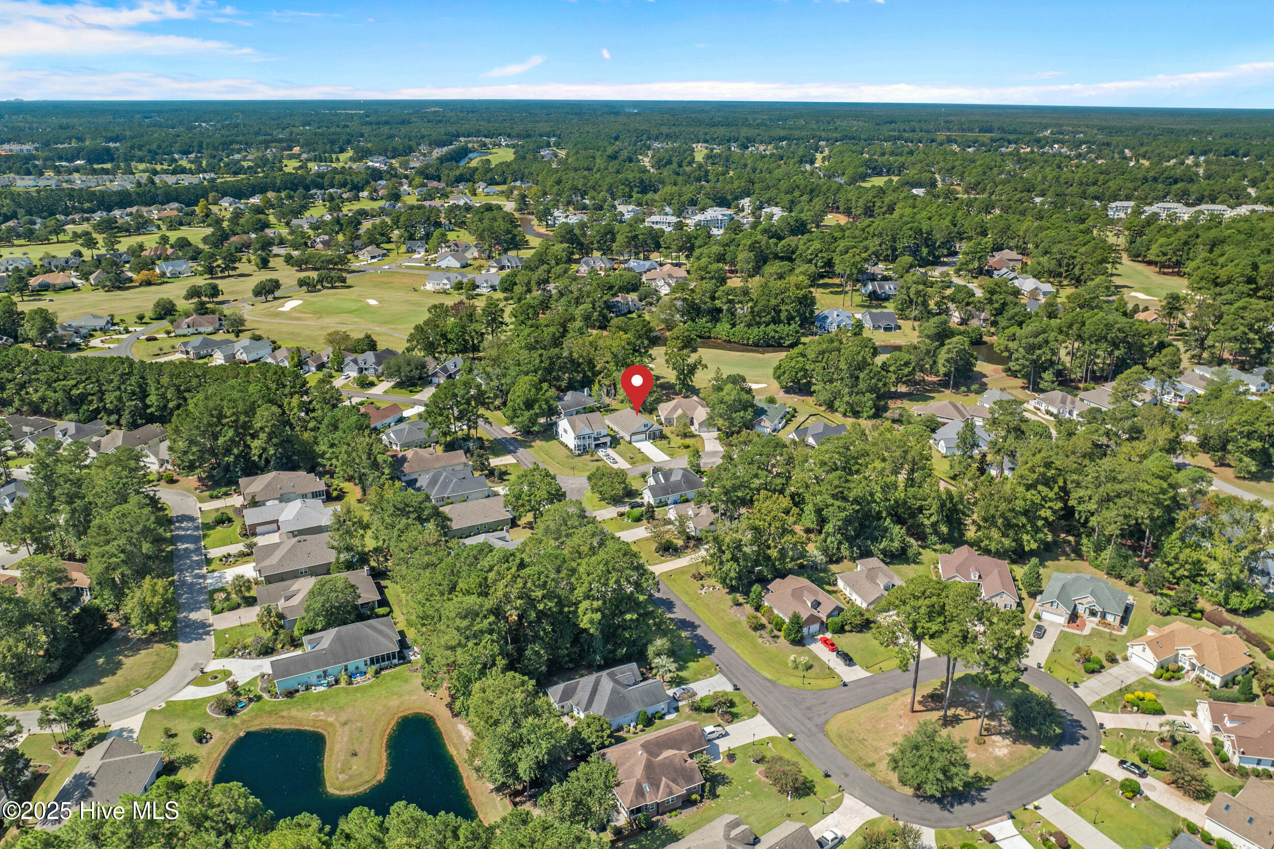 100531761 | Photo 37