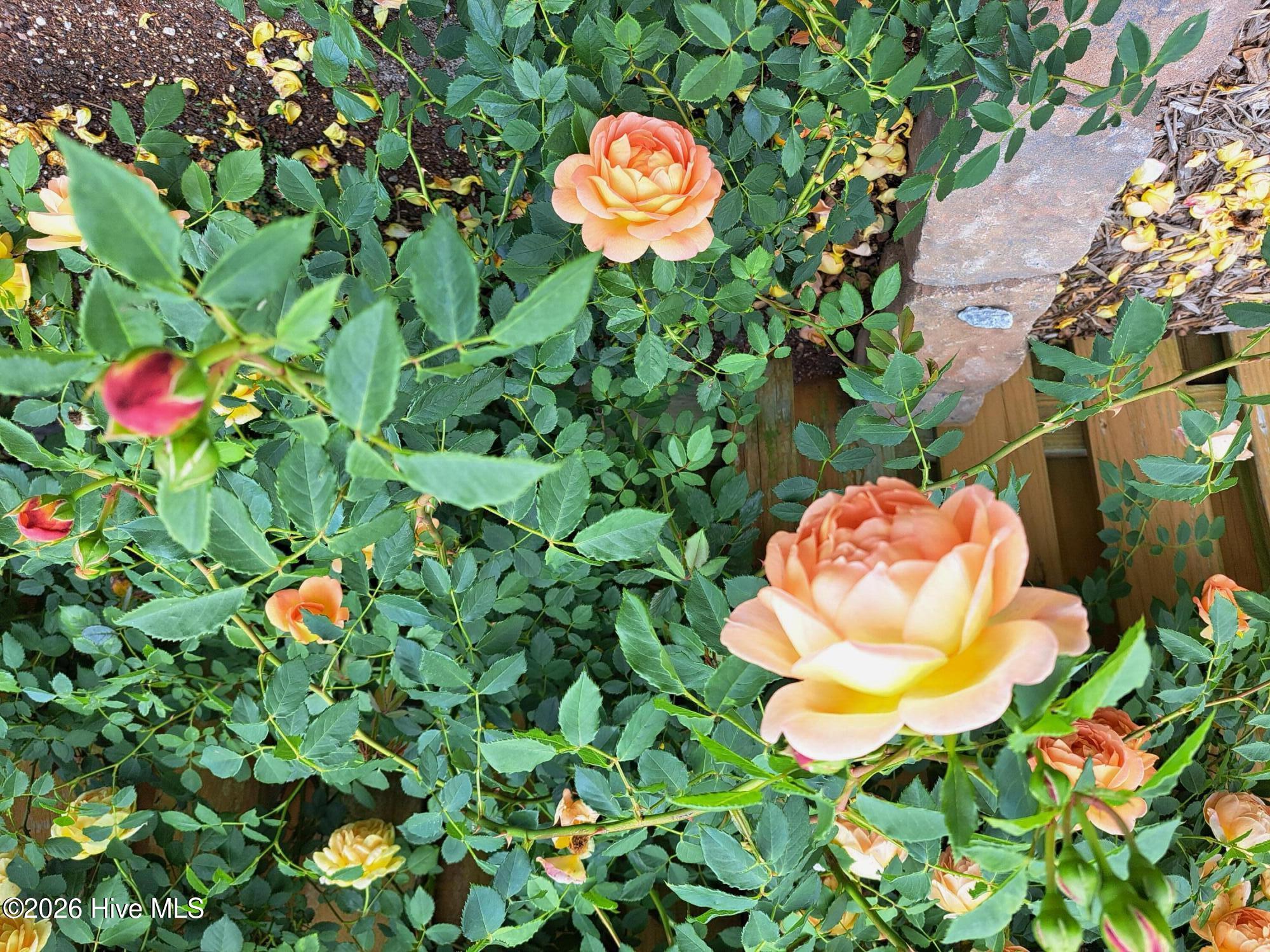 100551829 | Photo 54