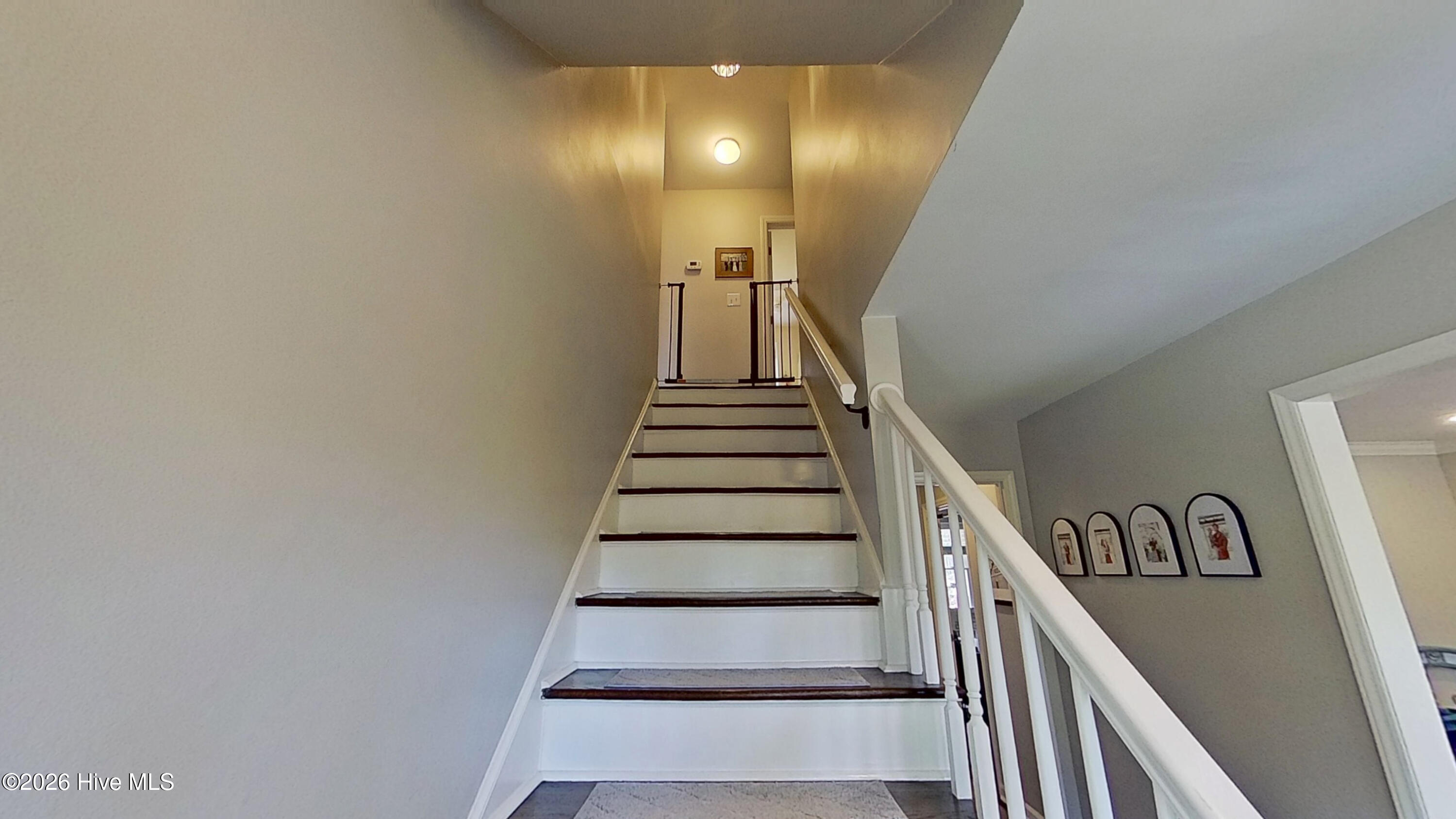 100569825 | Photo 12