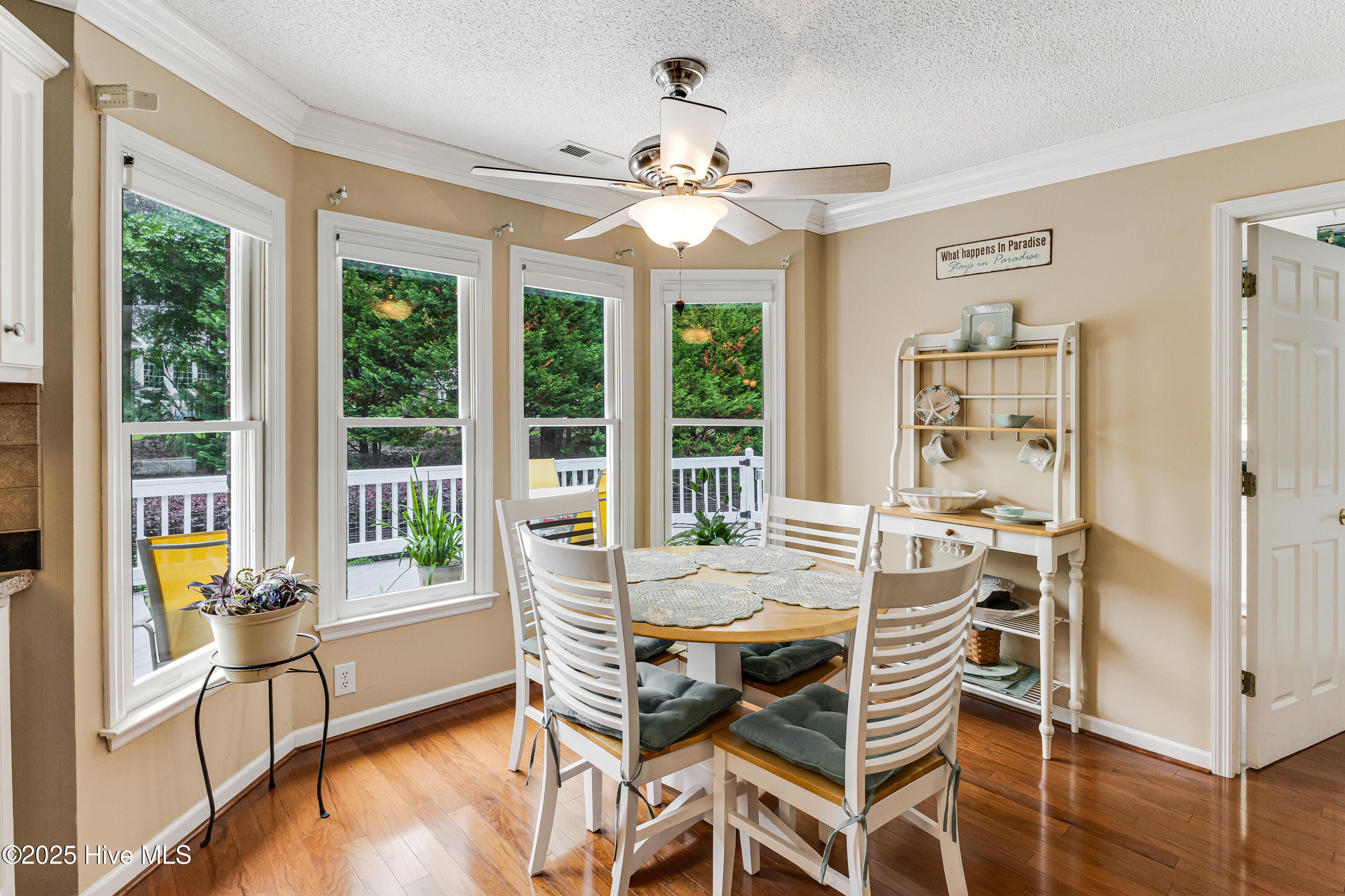 100508279 | Photo 19