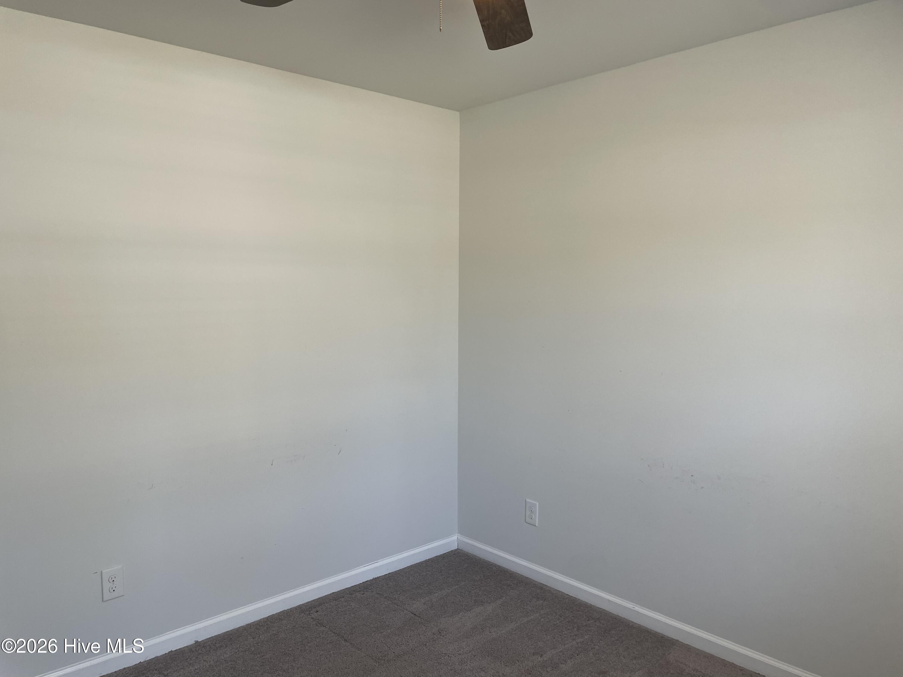 100562231 | Photo 10