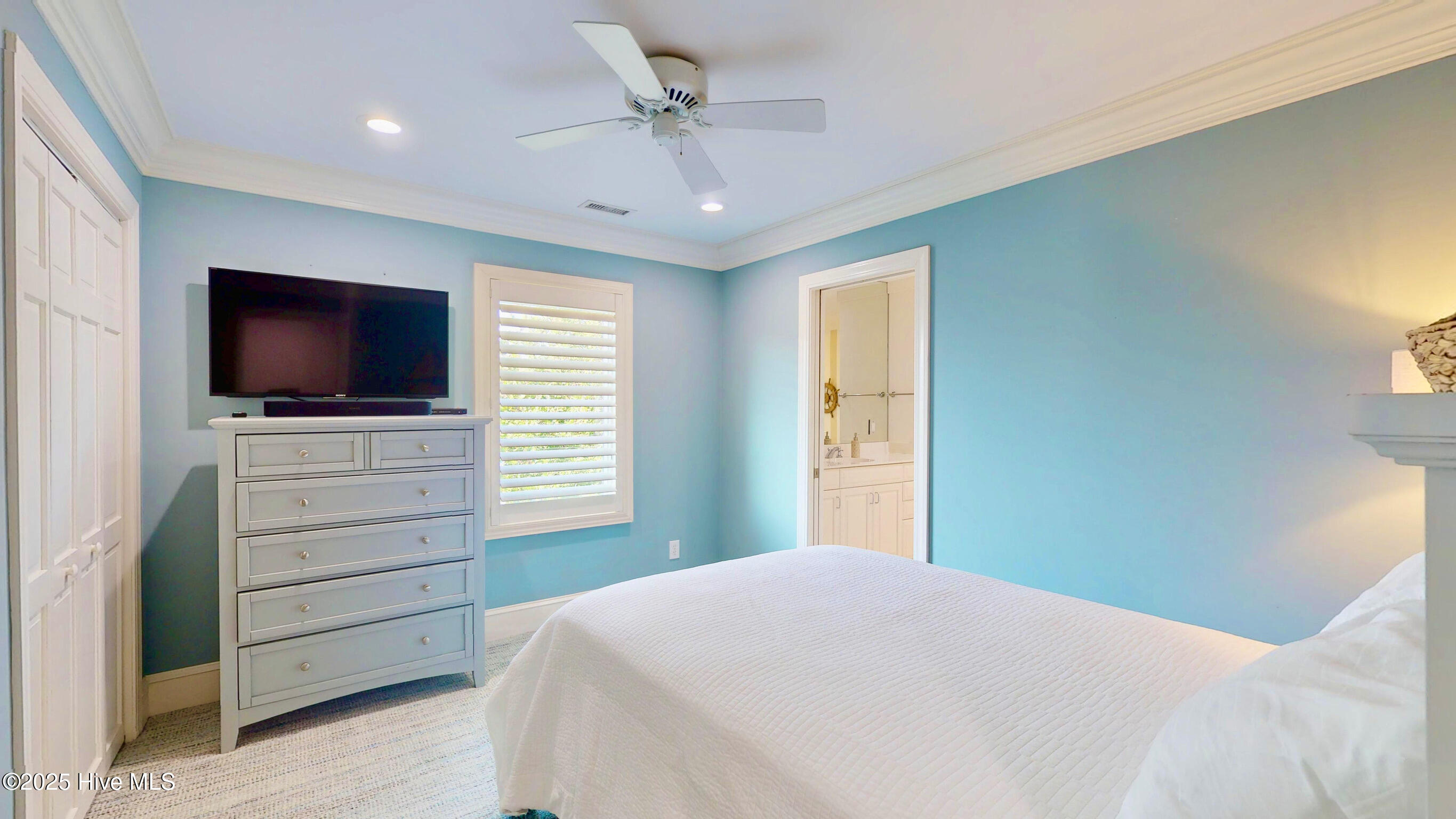 100543231 | Photo 55