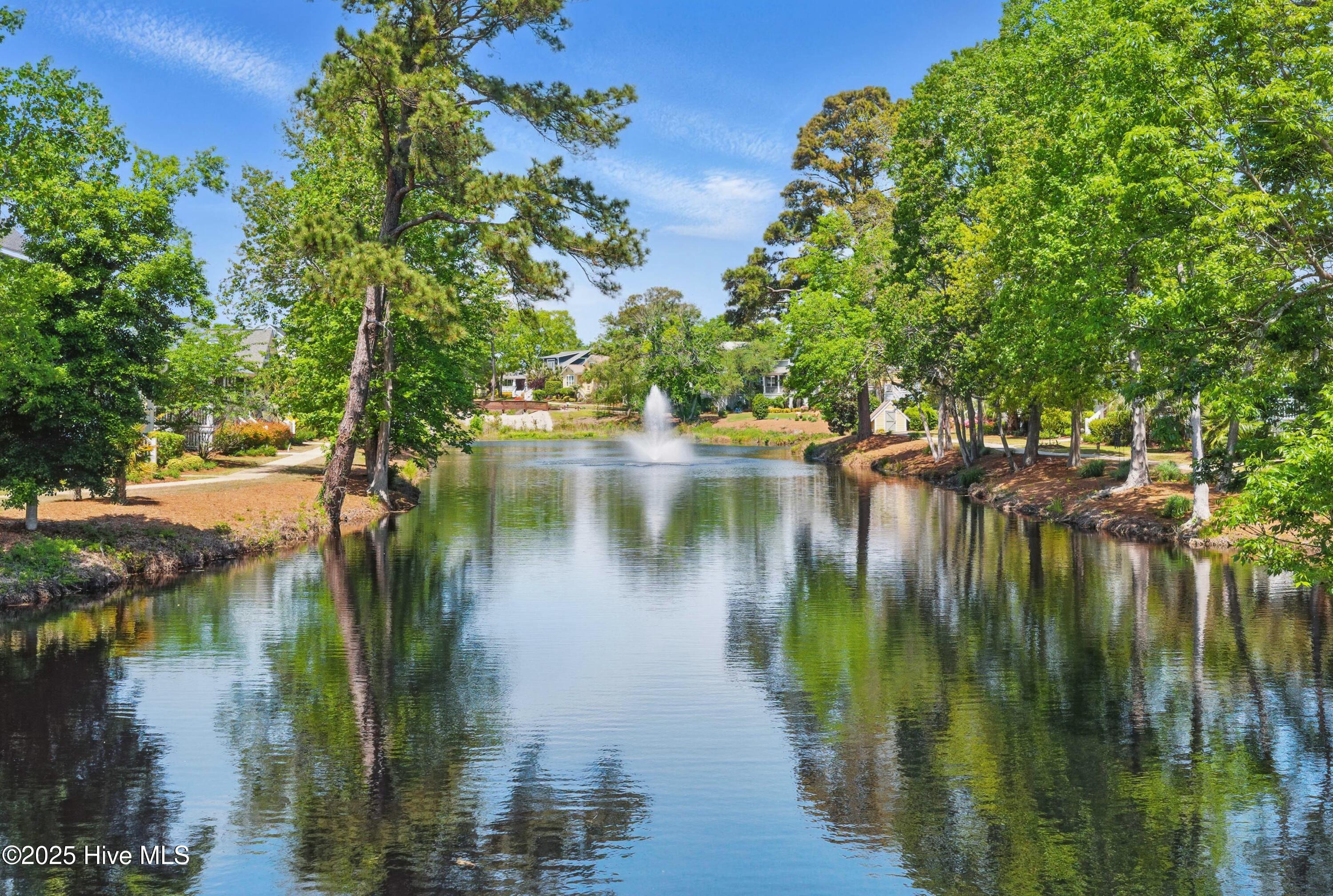 100503387 | Photo 59