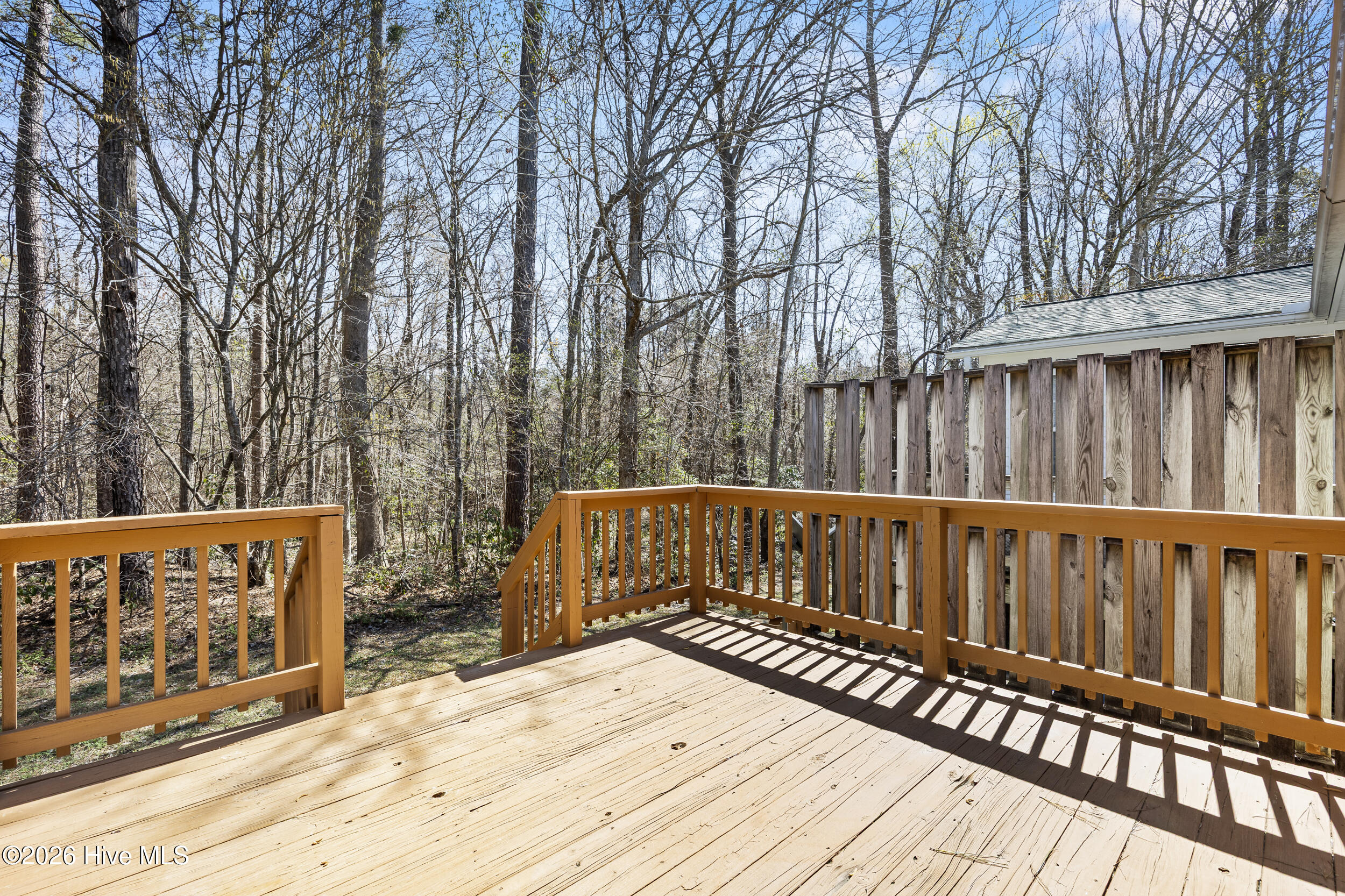 100561186 | Photo 28