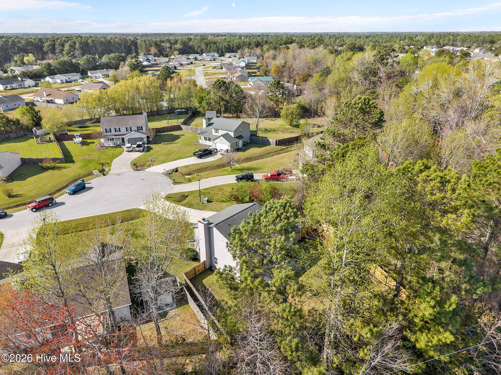 100568127 | Photo 43