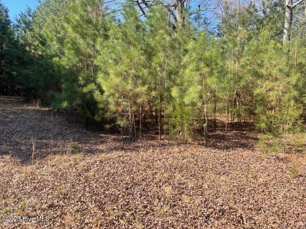 5635 Mckendree Church Road, Tarboro, NC, 27886