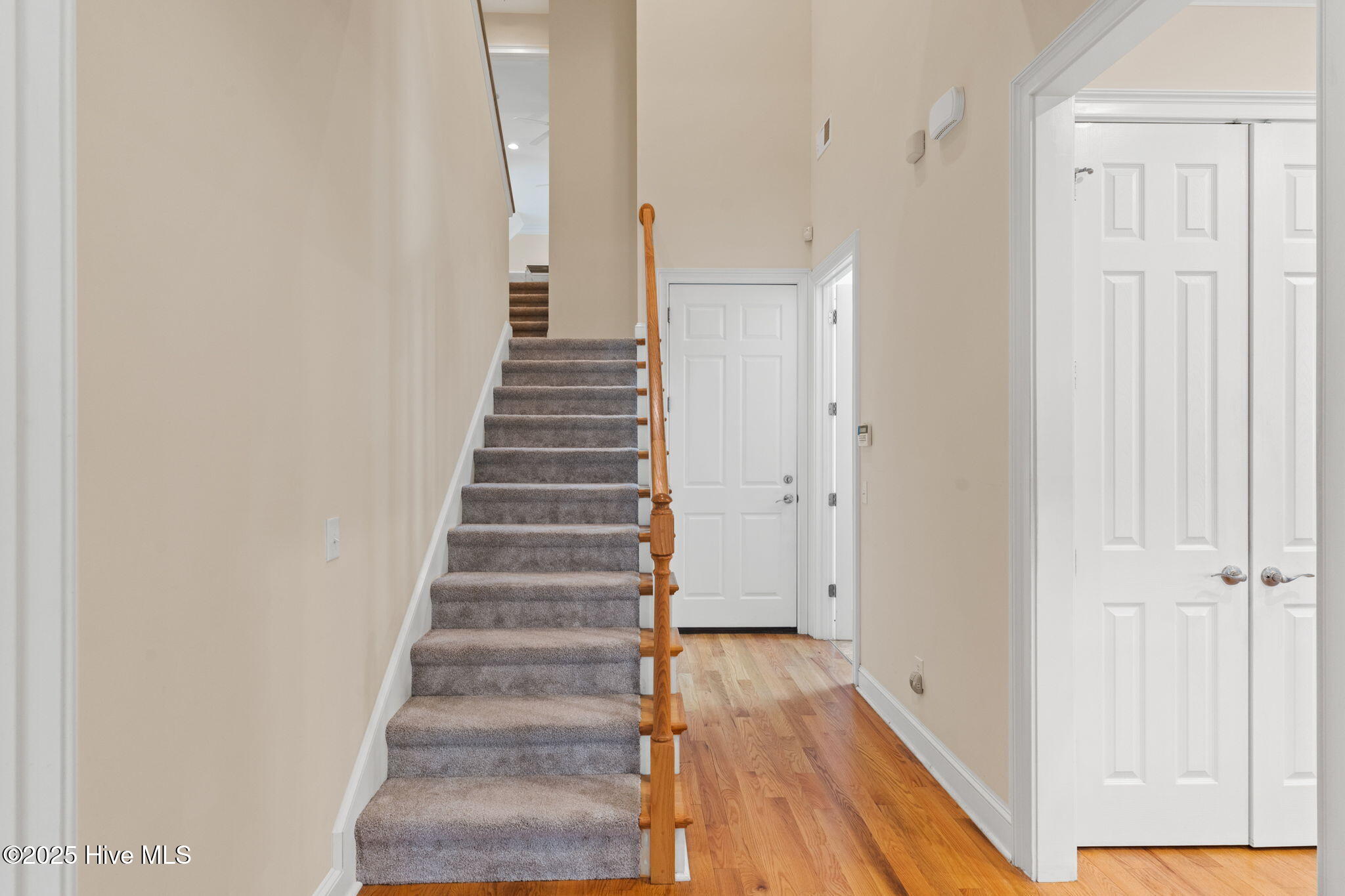 100518405 | Photo 58