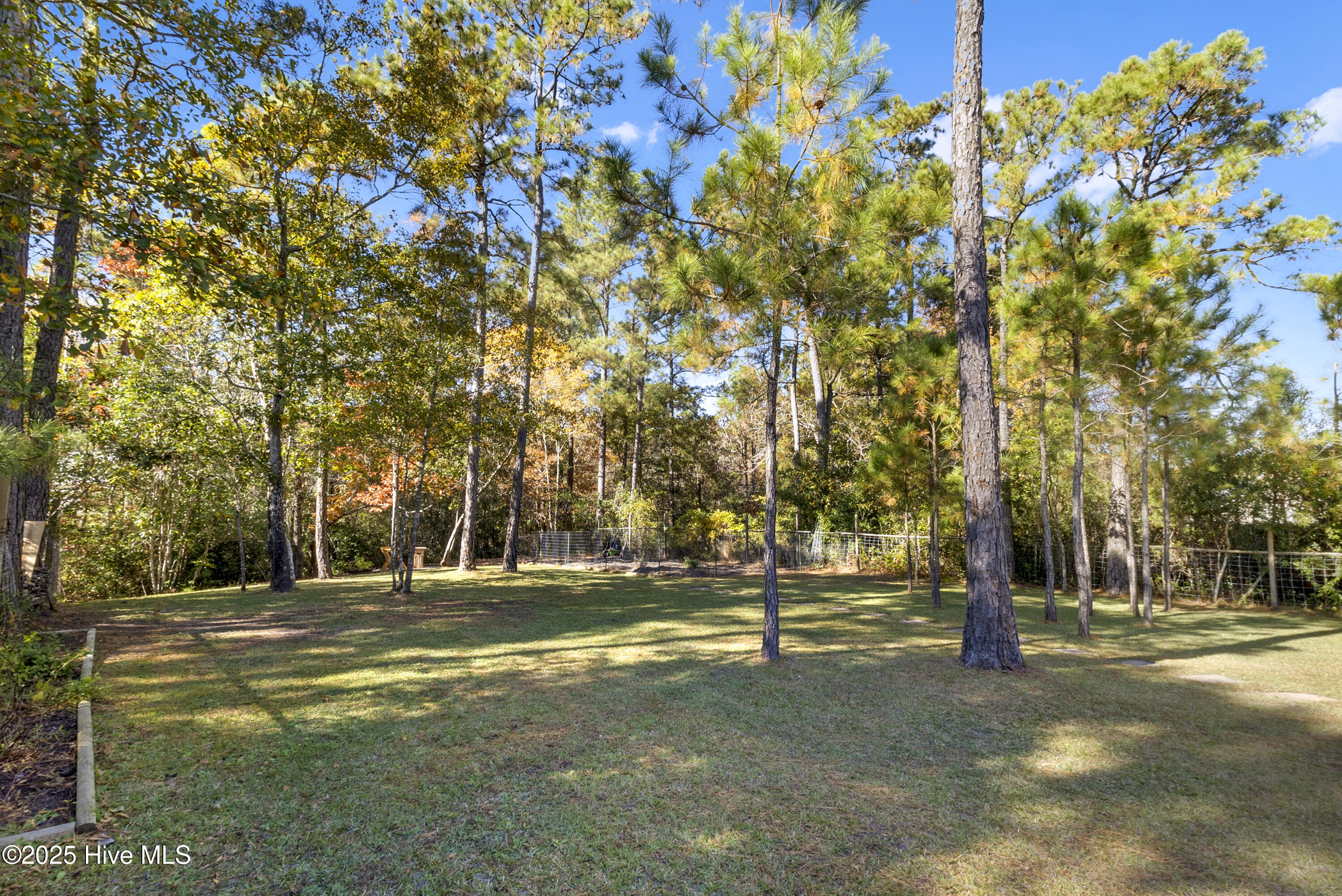 100544025 | Photo 35