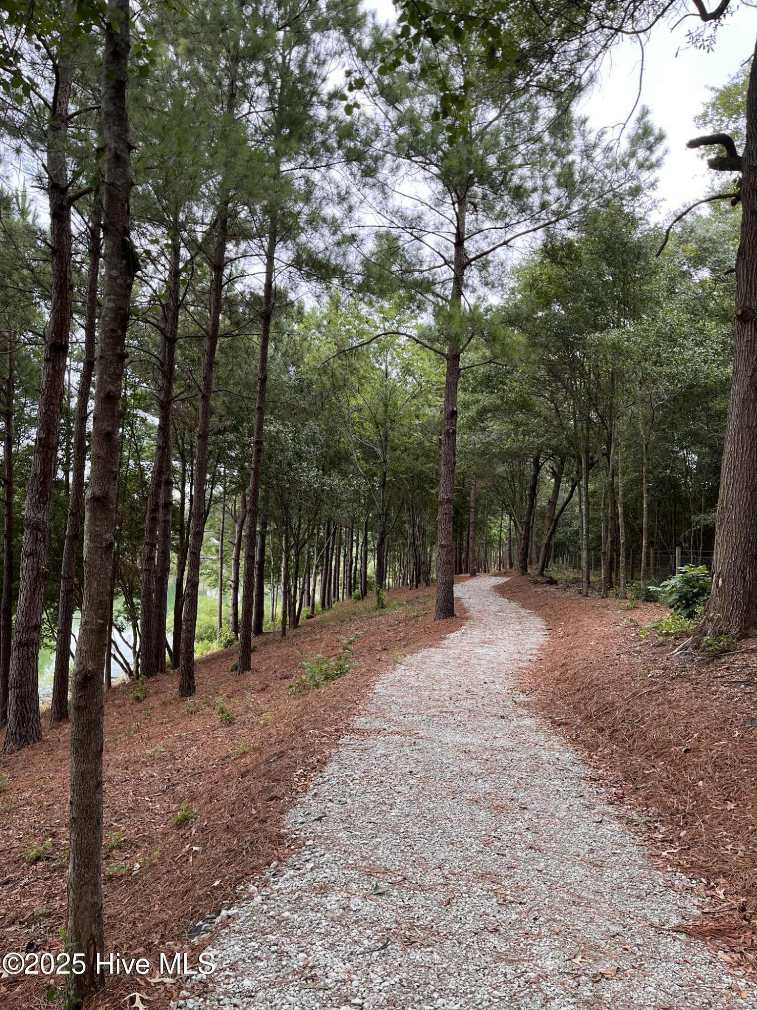 100536934 | Photo 40