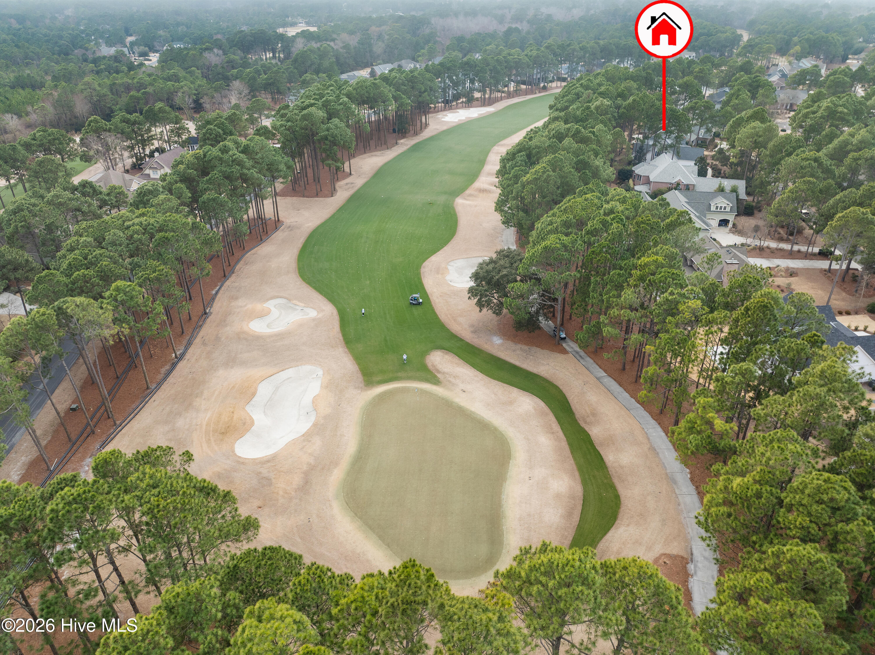 100555954 | Photo 69