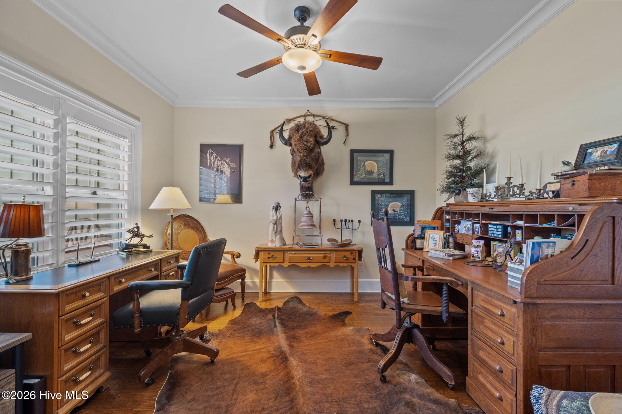 100546497 | Photo 23