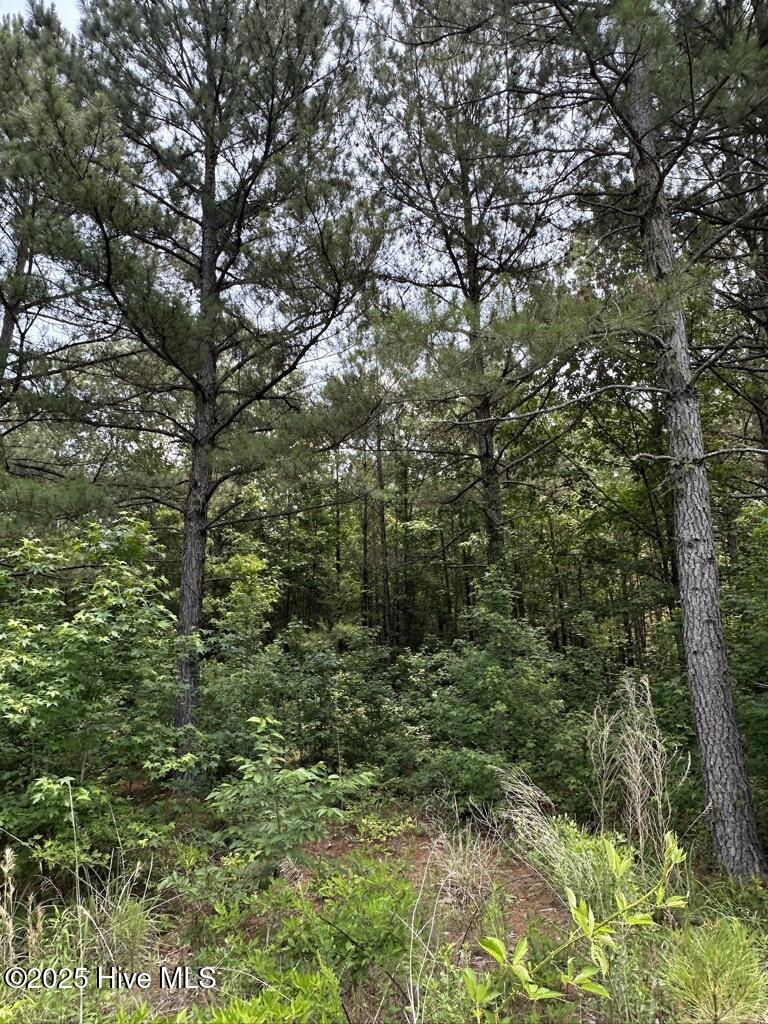 E251F368-912B-41FC-9B16-599D7912D284_1_1