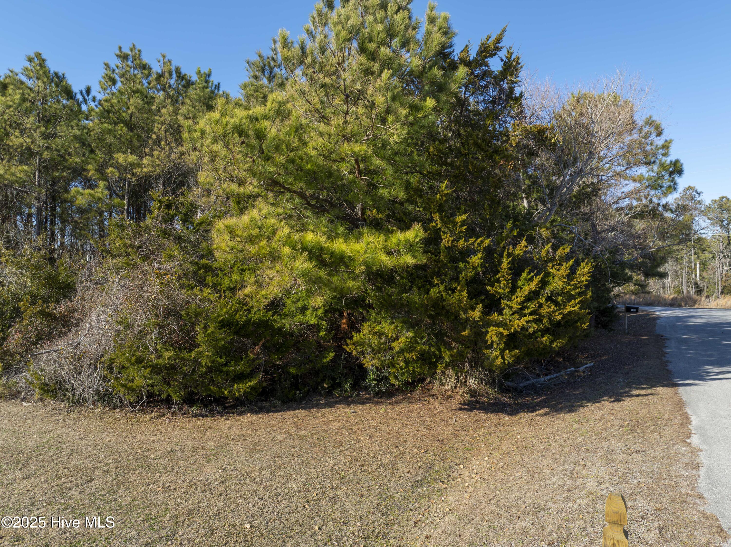 100554512 | Photo 10