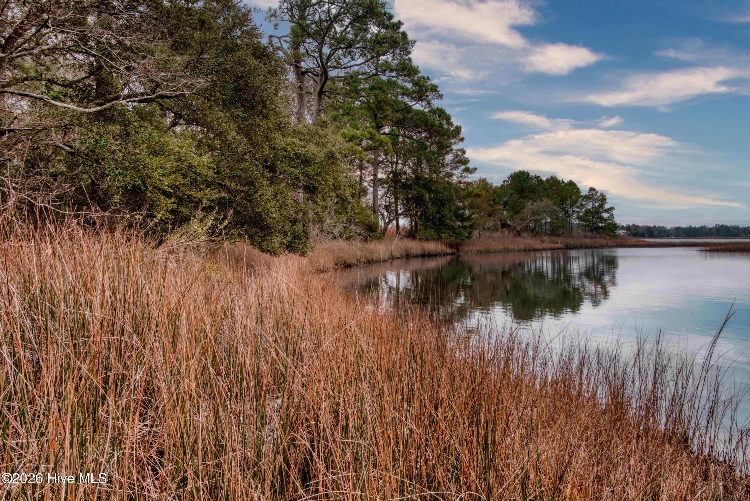 100551143 | Photo 64