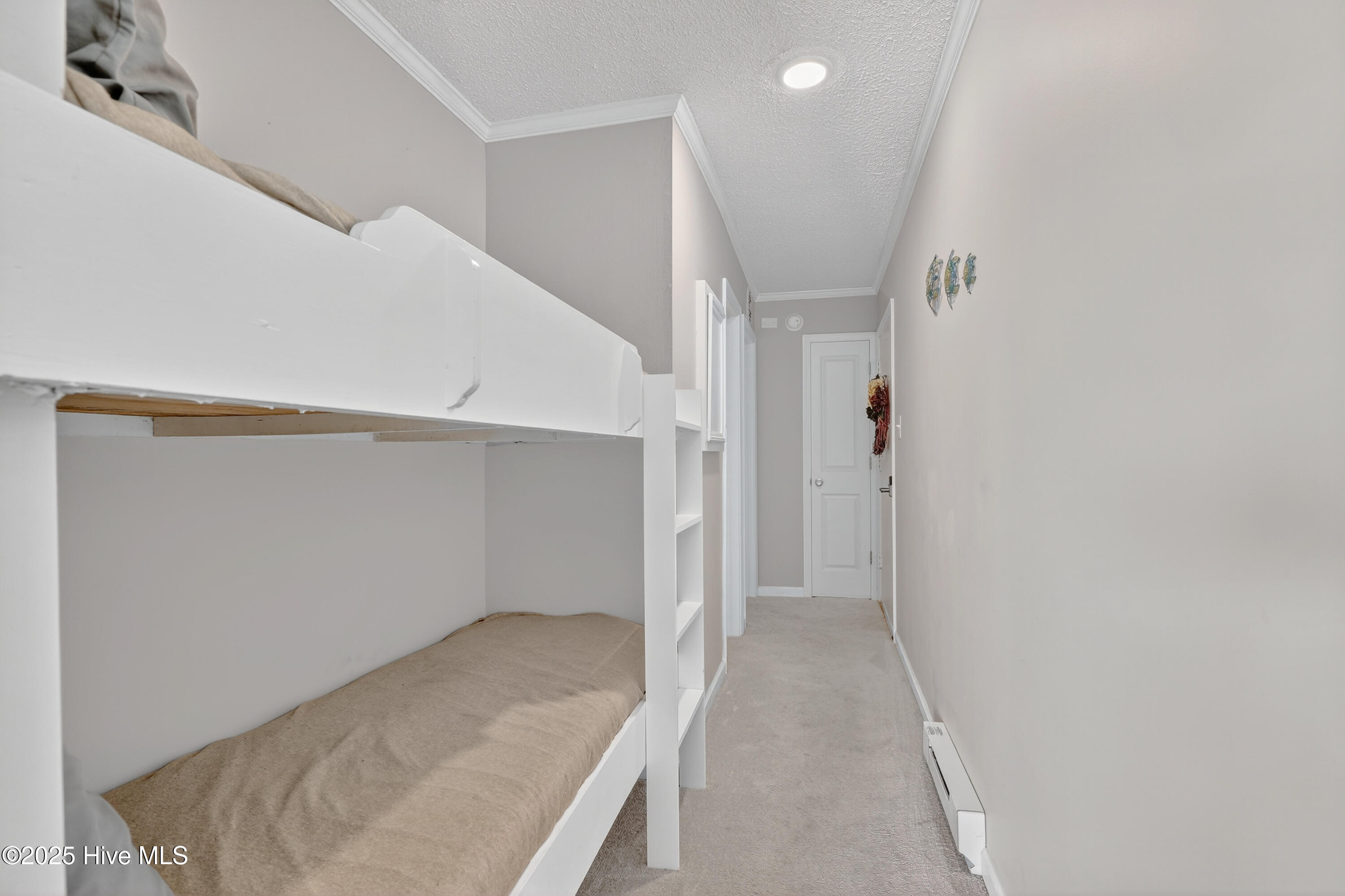 100534180 | Photo 12