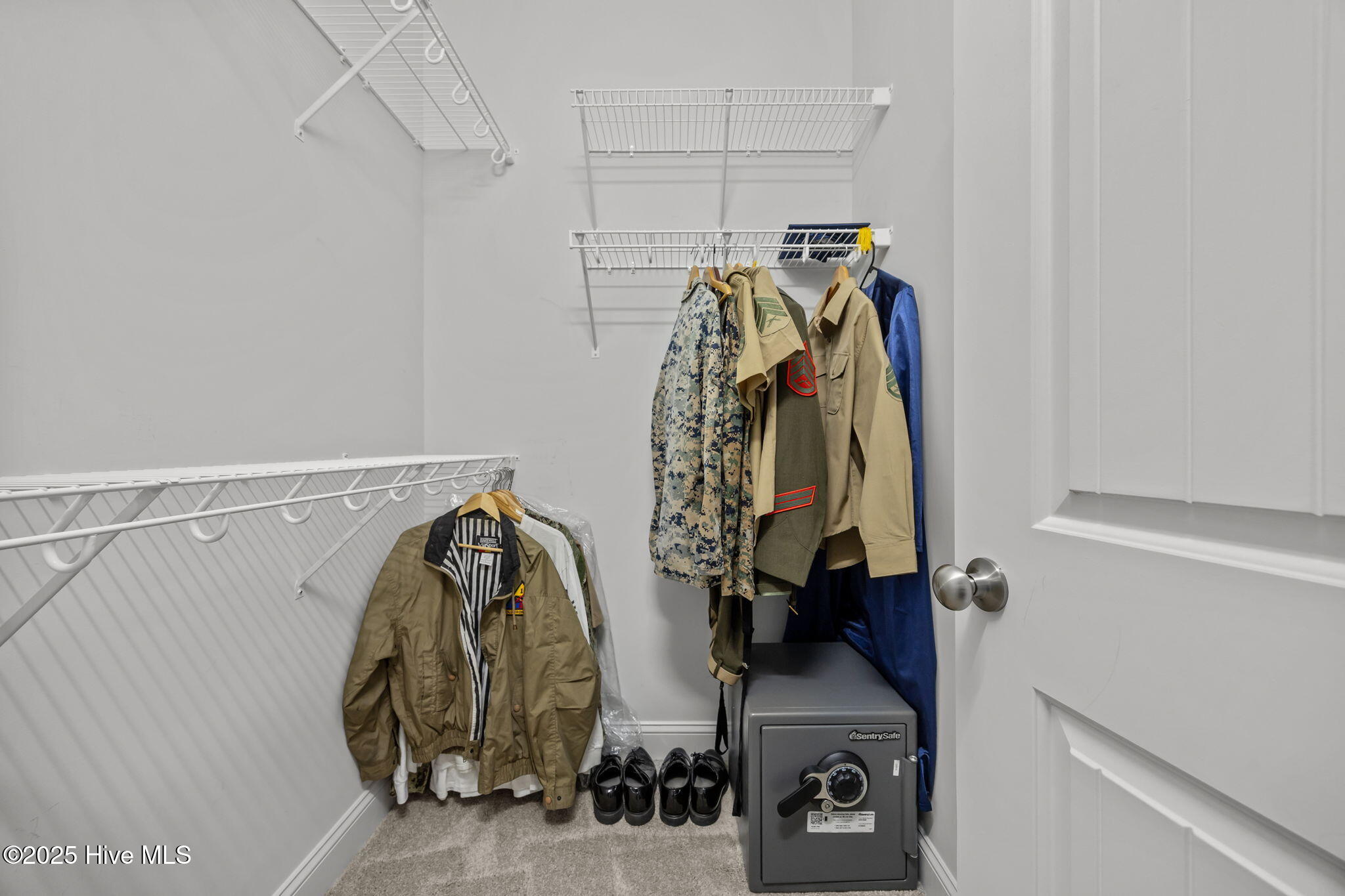 100539854 | Photo 19