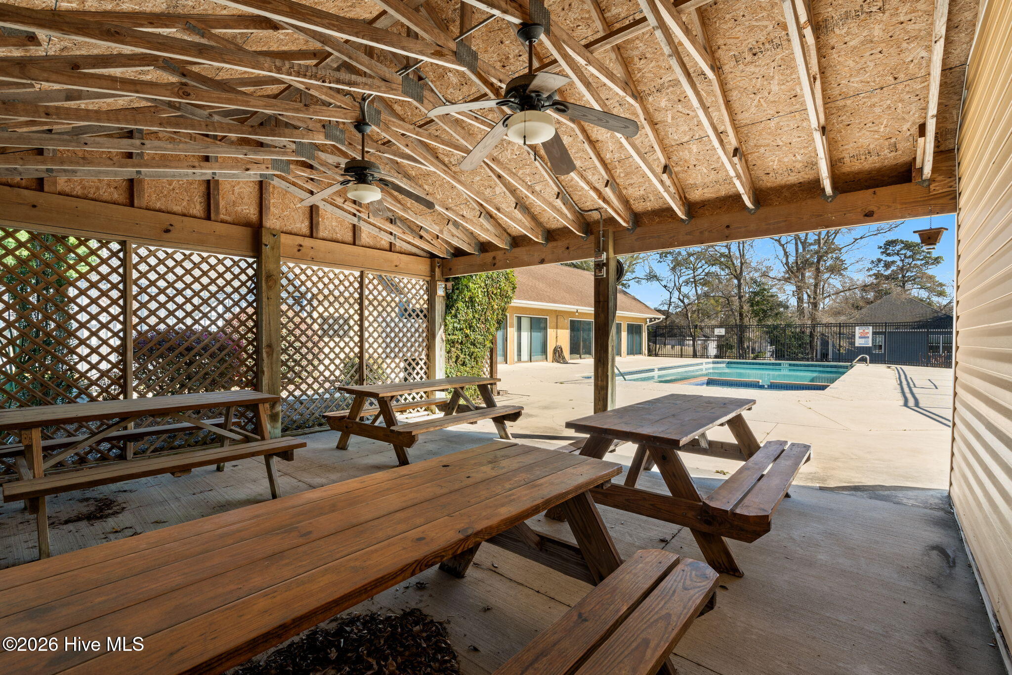 100562881 | Photo 50