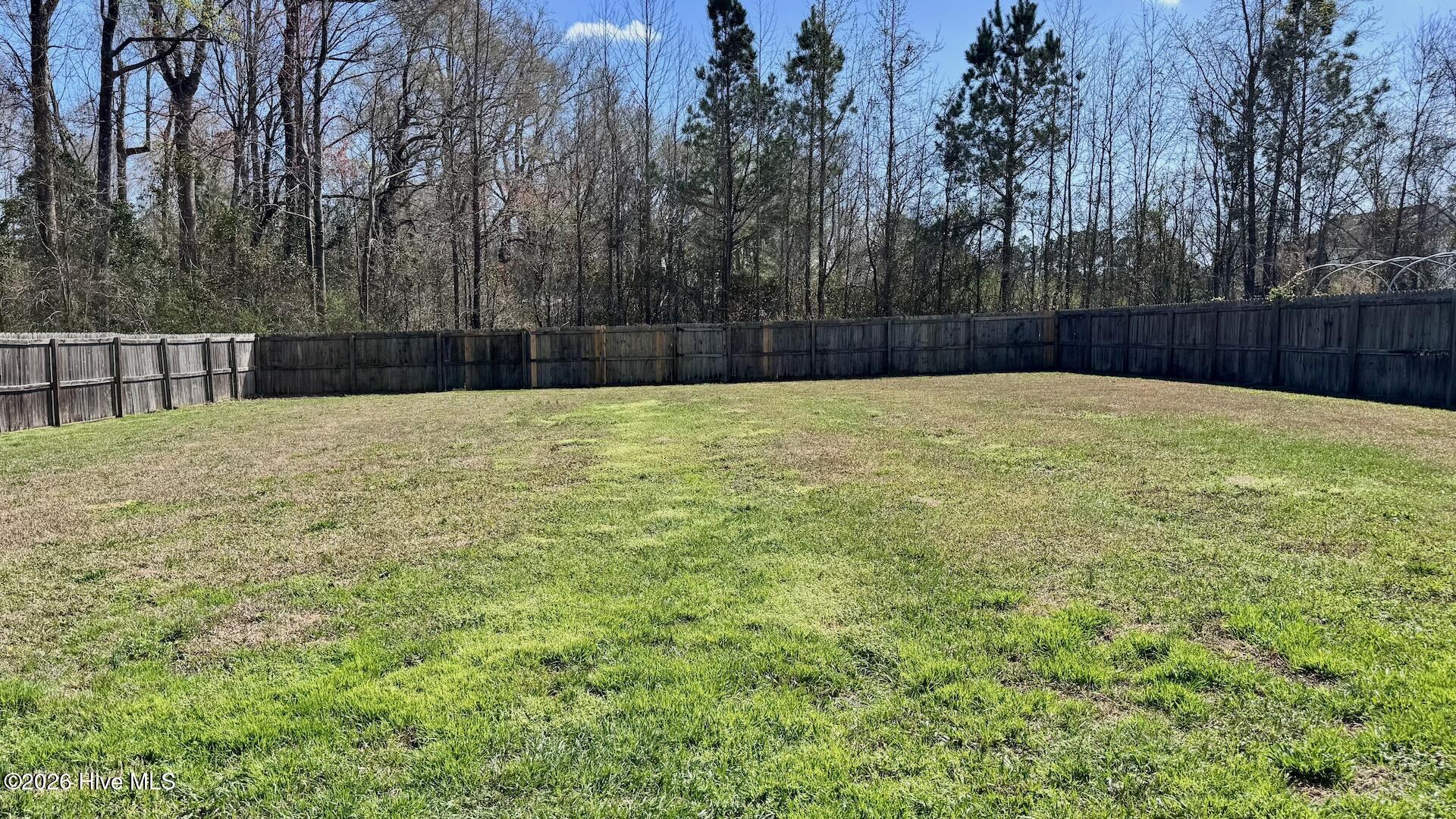 100561973 | Photo 31