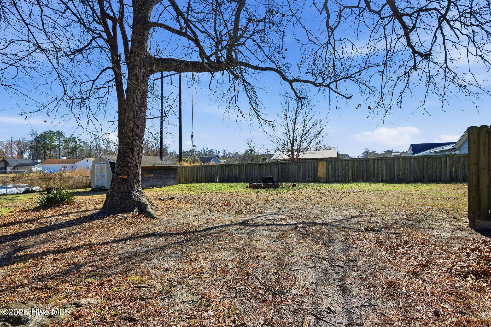 100556474 | Photo 31