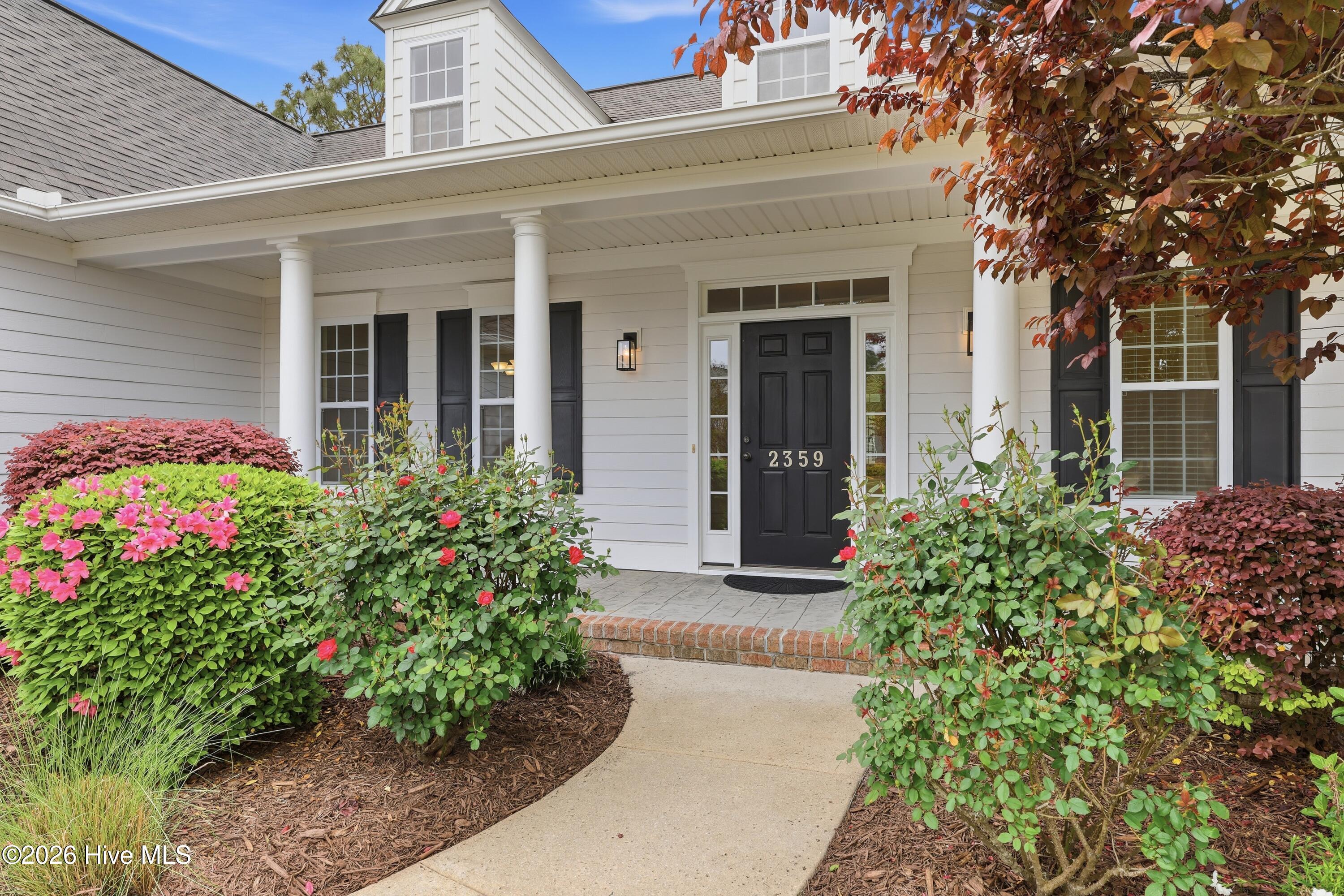 100565162 | Photo 11