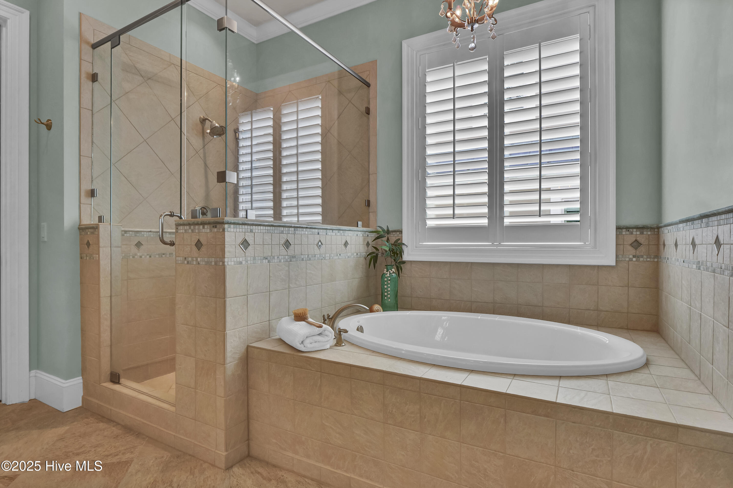 100505829 | Photo 12