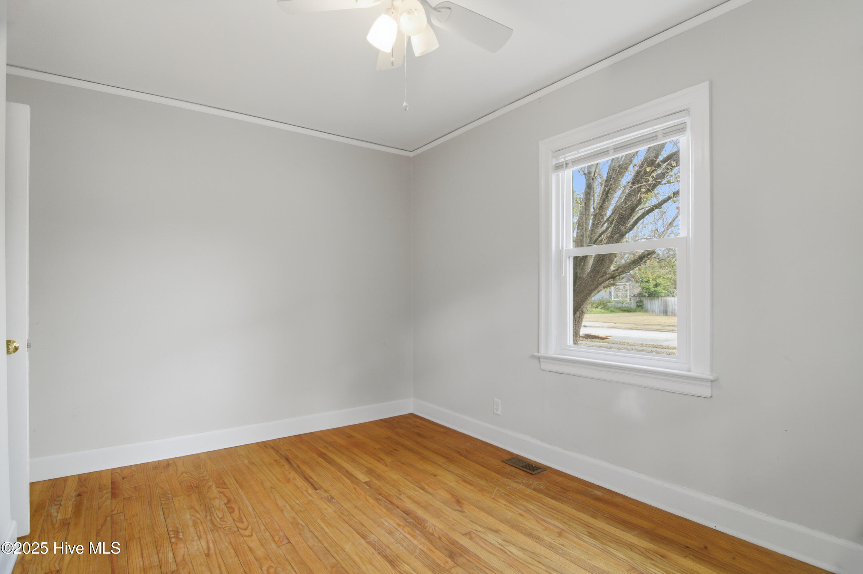 100544721 | Photo 24