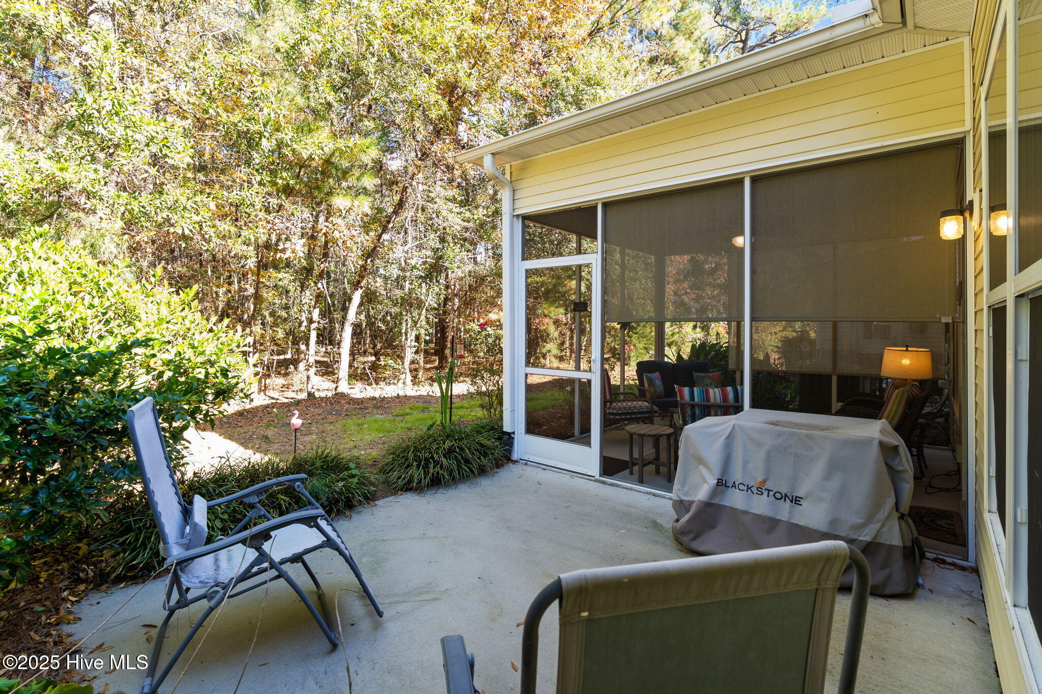 100543770 | Photo 39