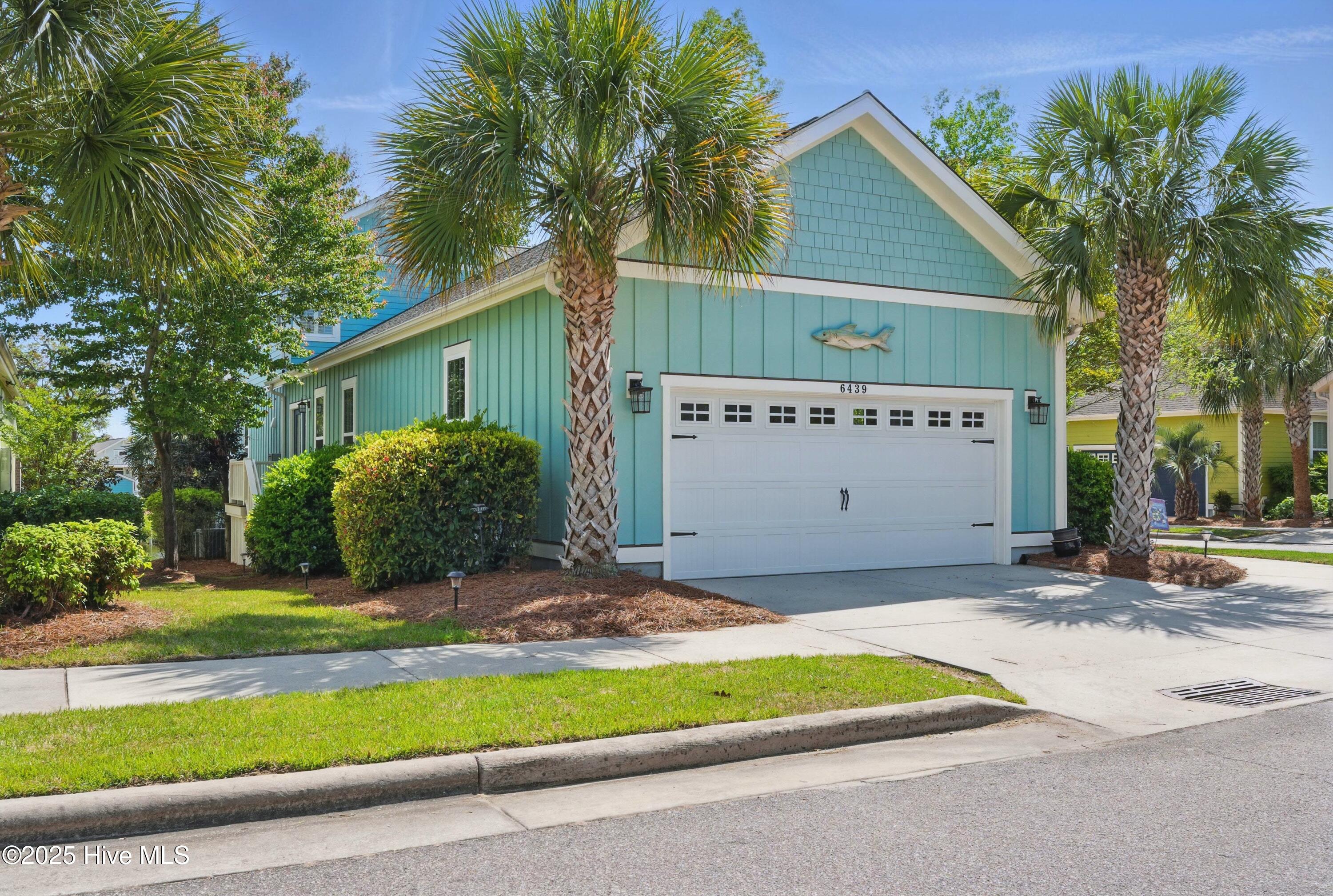 100503387 | Photo 40