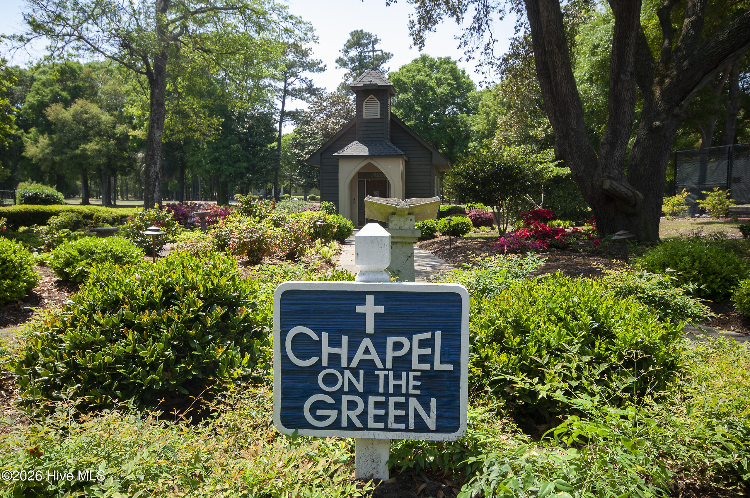 100562302 | Photo 50