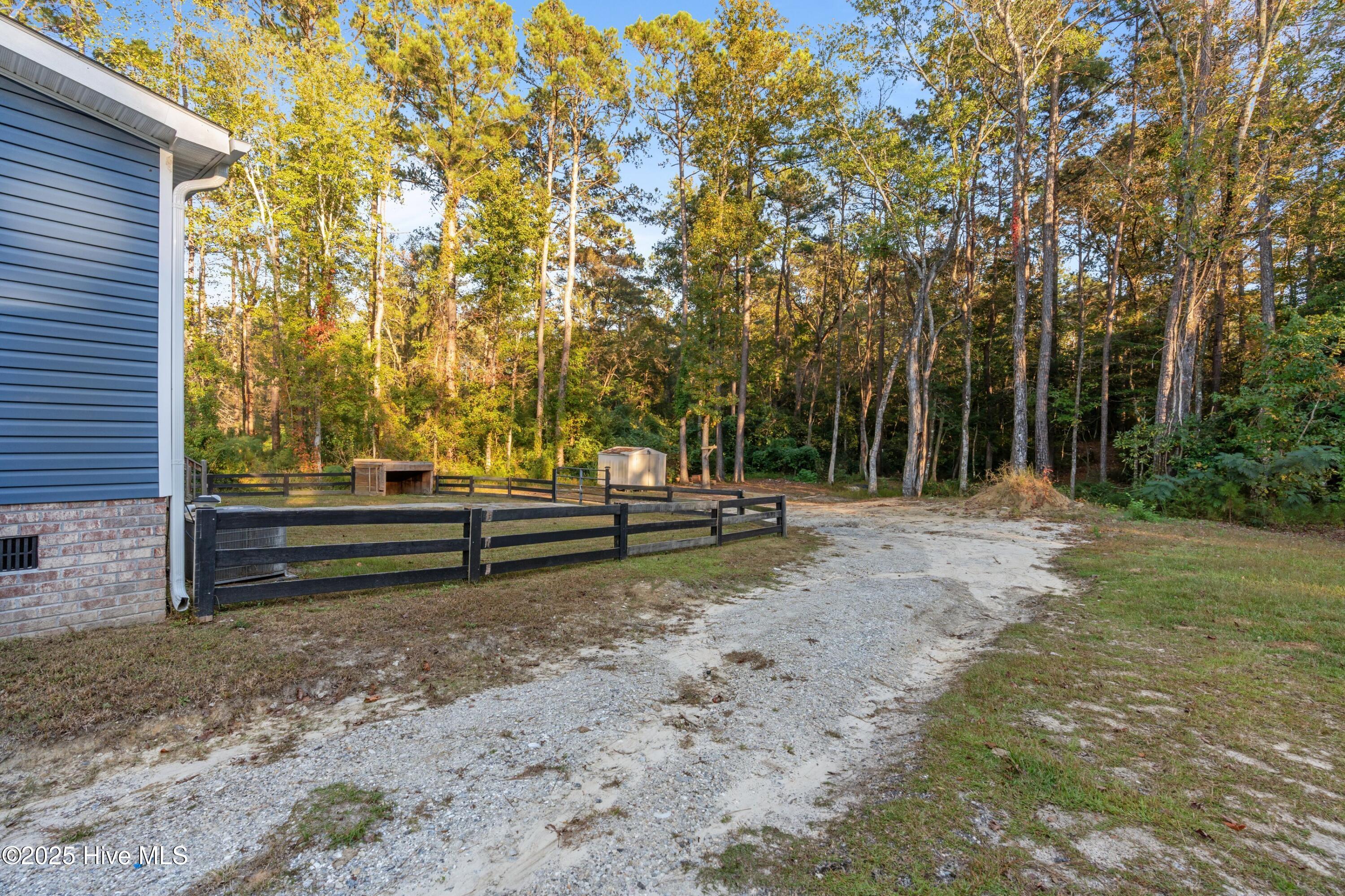 100538120 | Photo 26