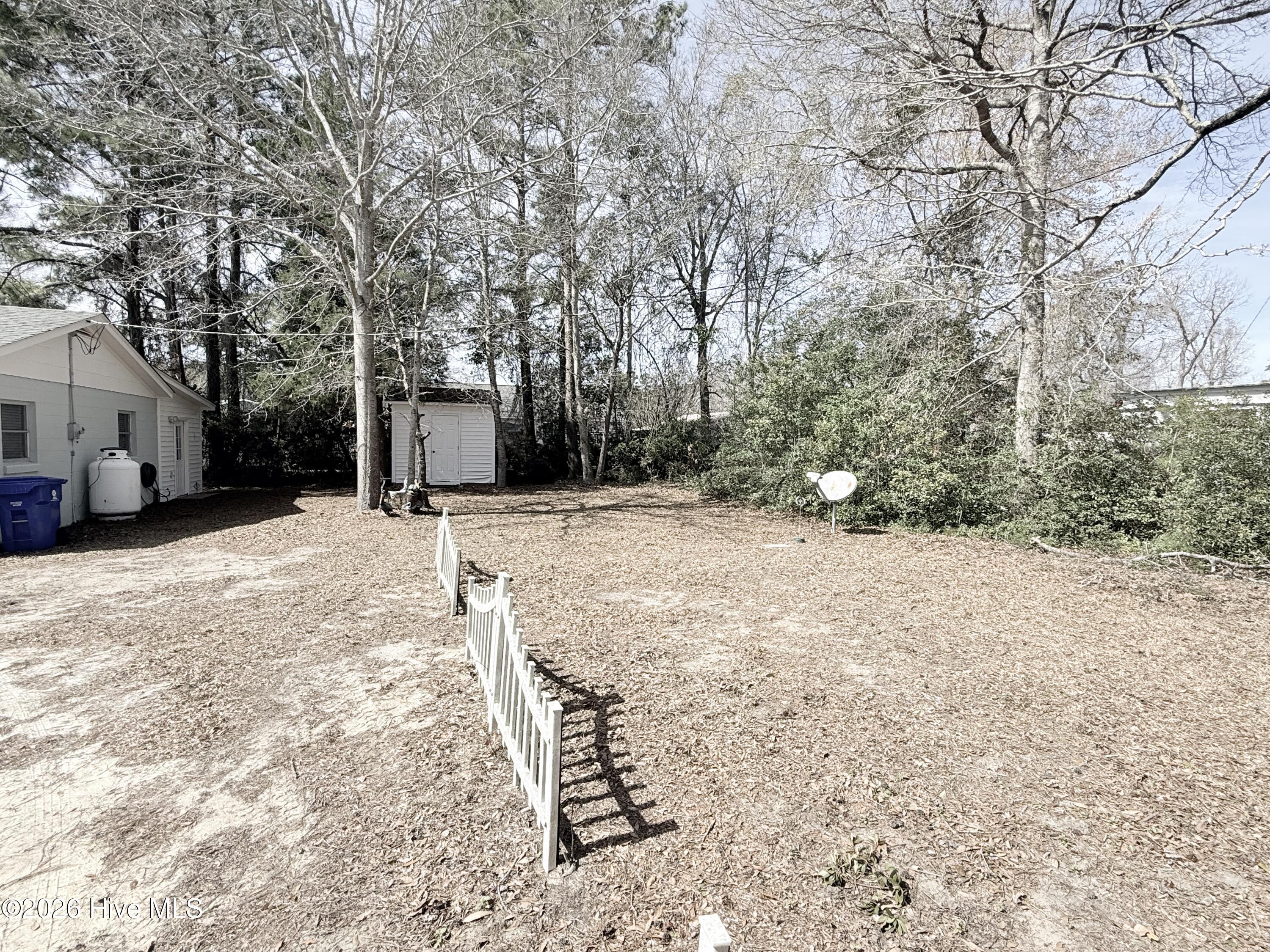 100564827 | Photo 11