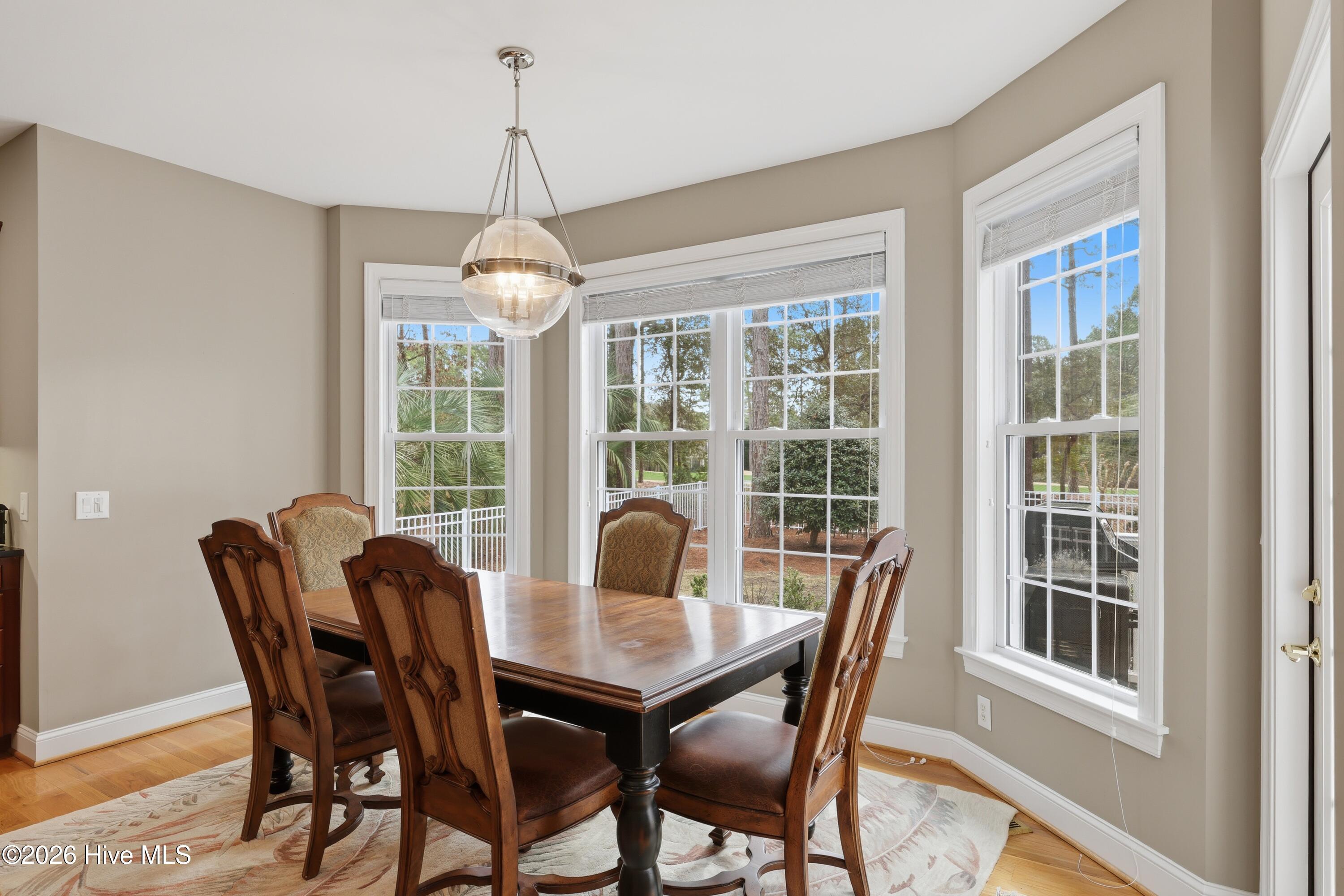 100558451 | Photo 26