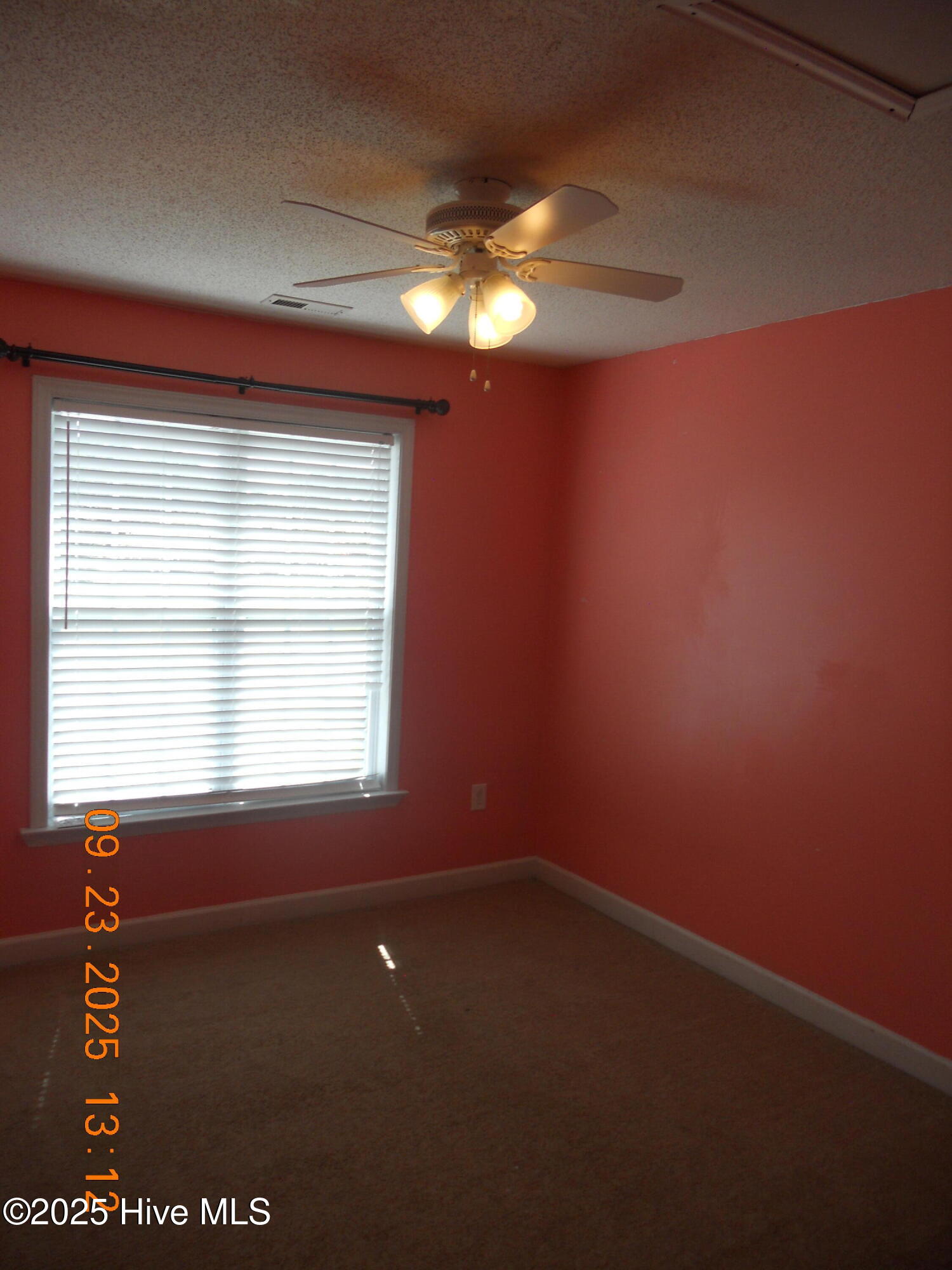 100532351 | Photo 39