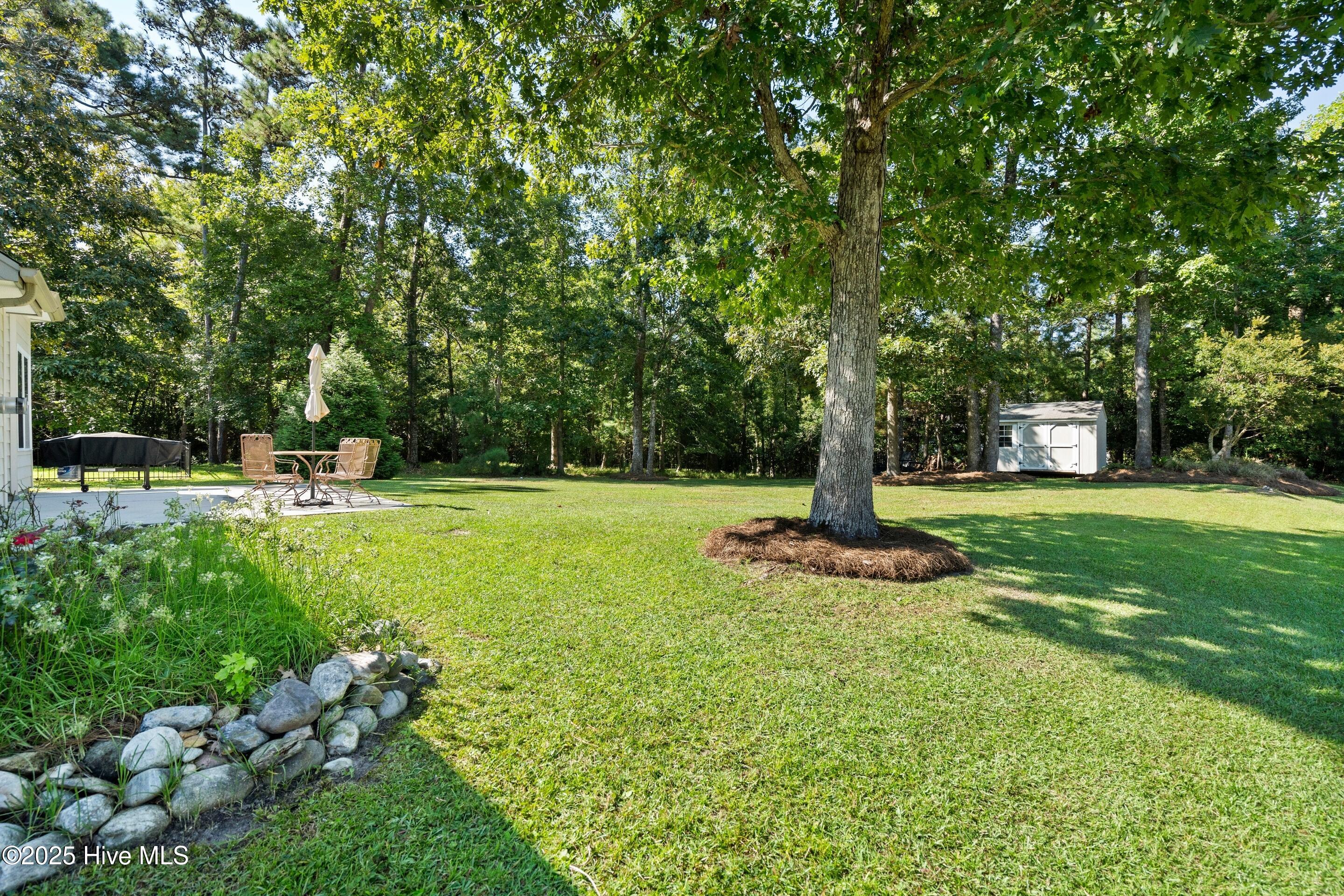 100529495 | Photo 50