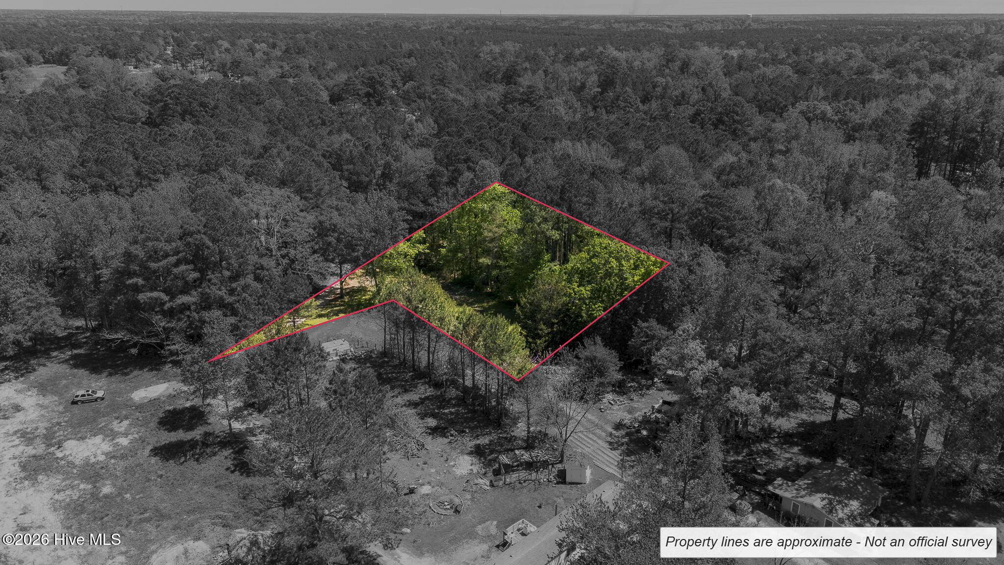 100566627 | Photo 13