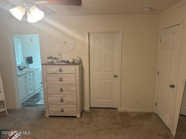 100542049 | Photo 33